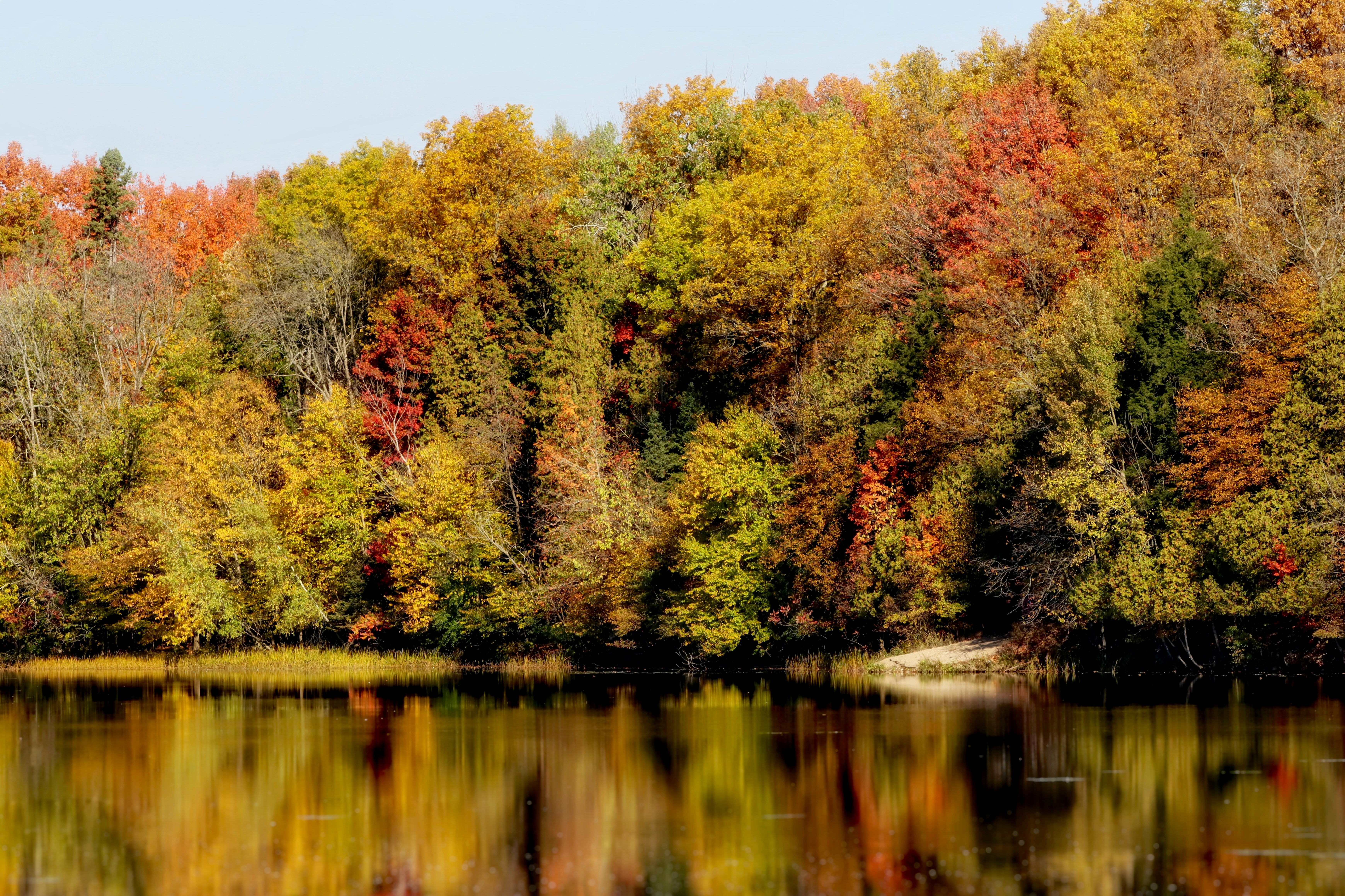 Photo by stephgibeaultart