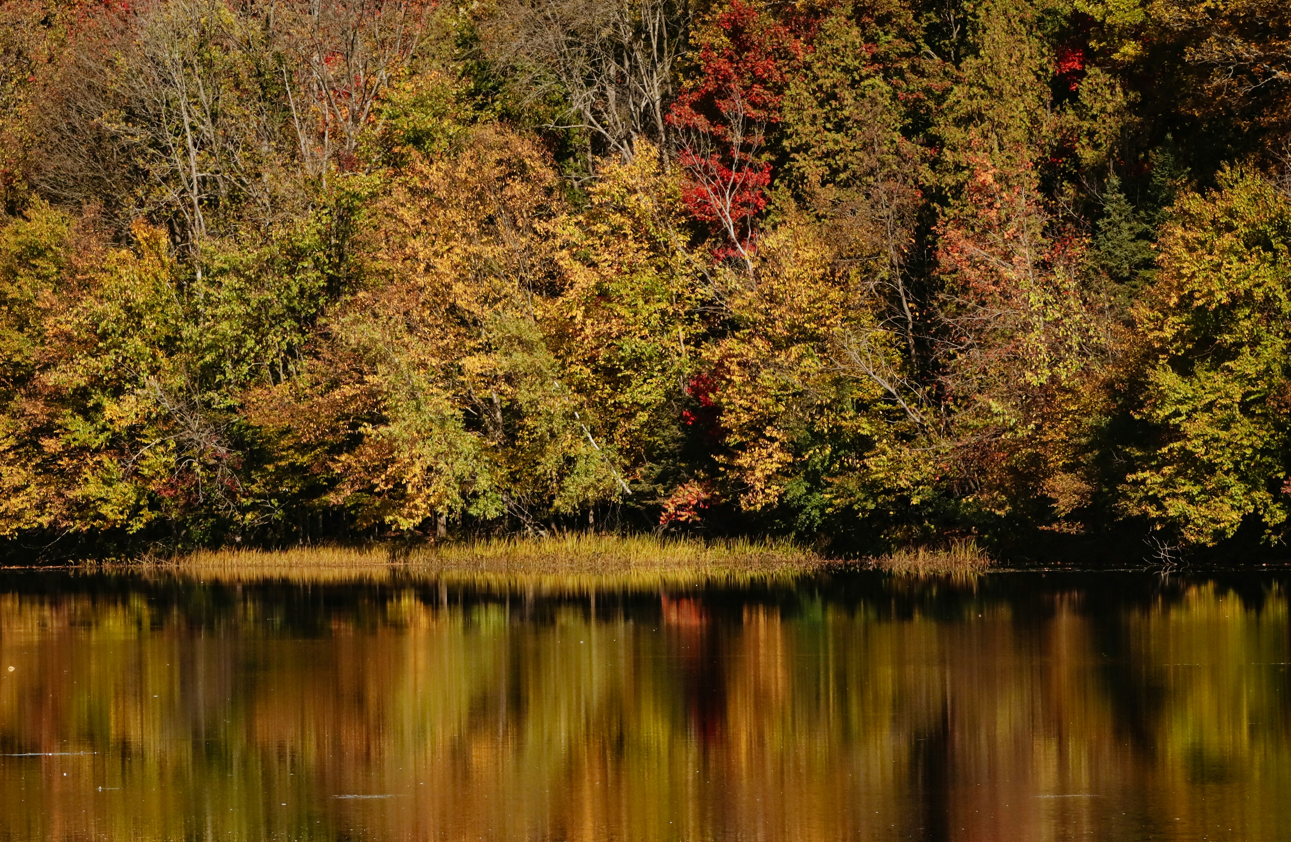 Photo by stephgibeaultart