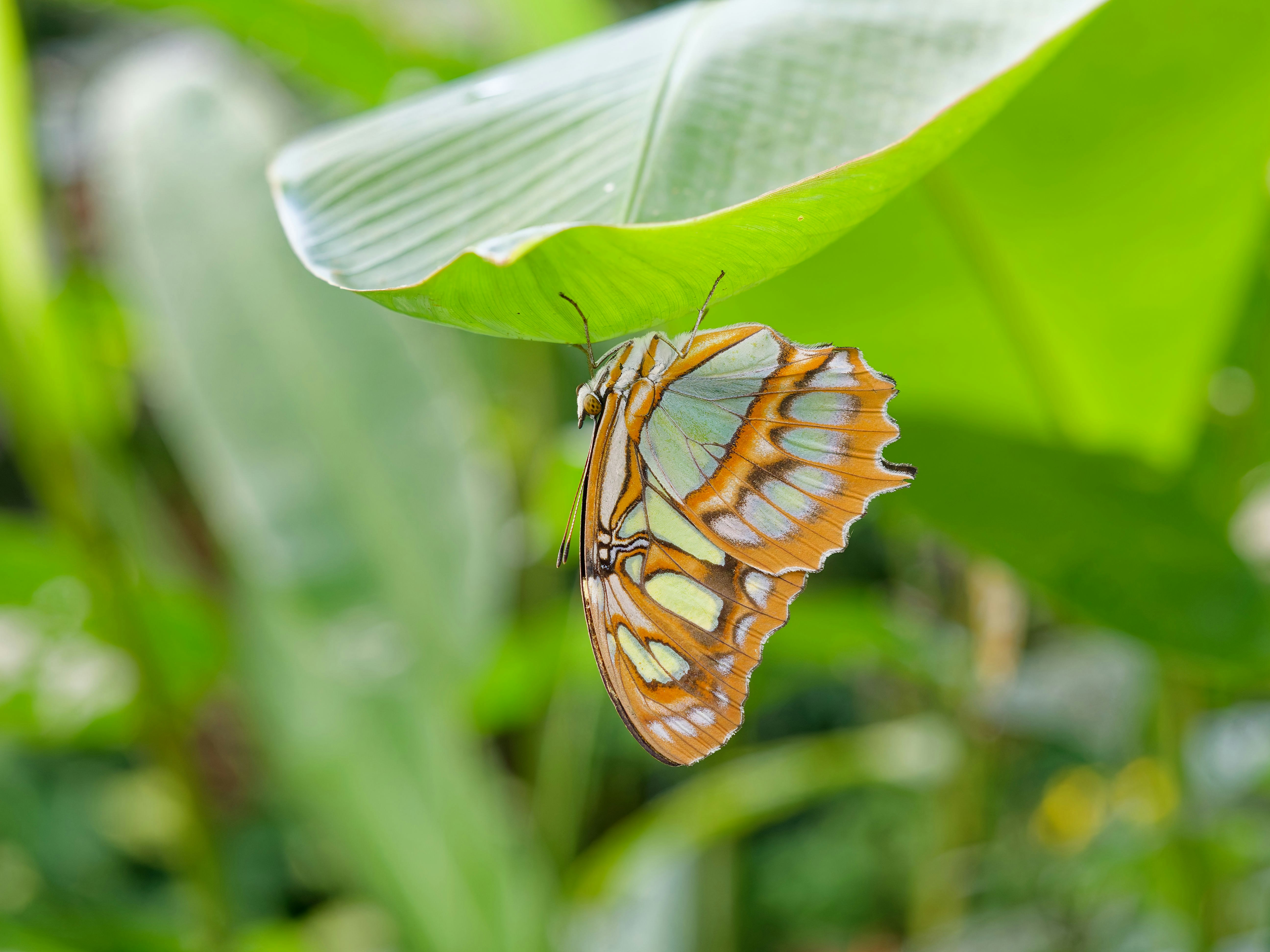 Photo by illes_cristi