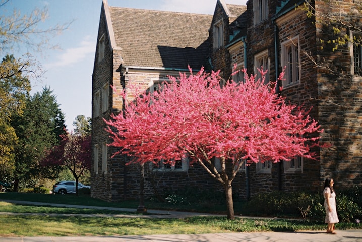 Centre College