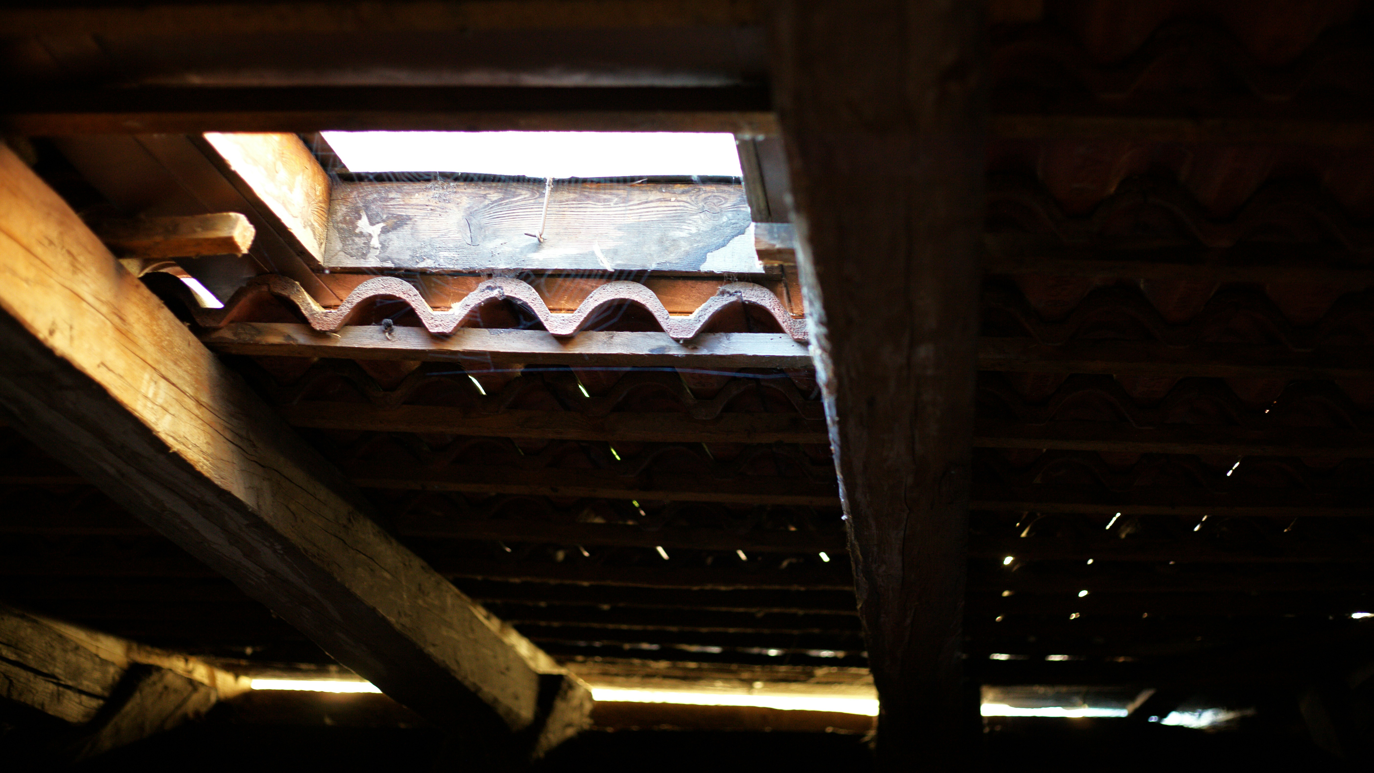 water-stained attic sheathing and mold - roof vent issues repair rochester ny