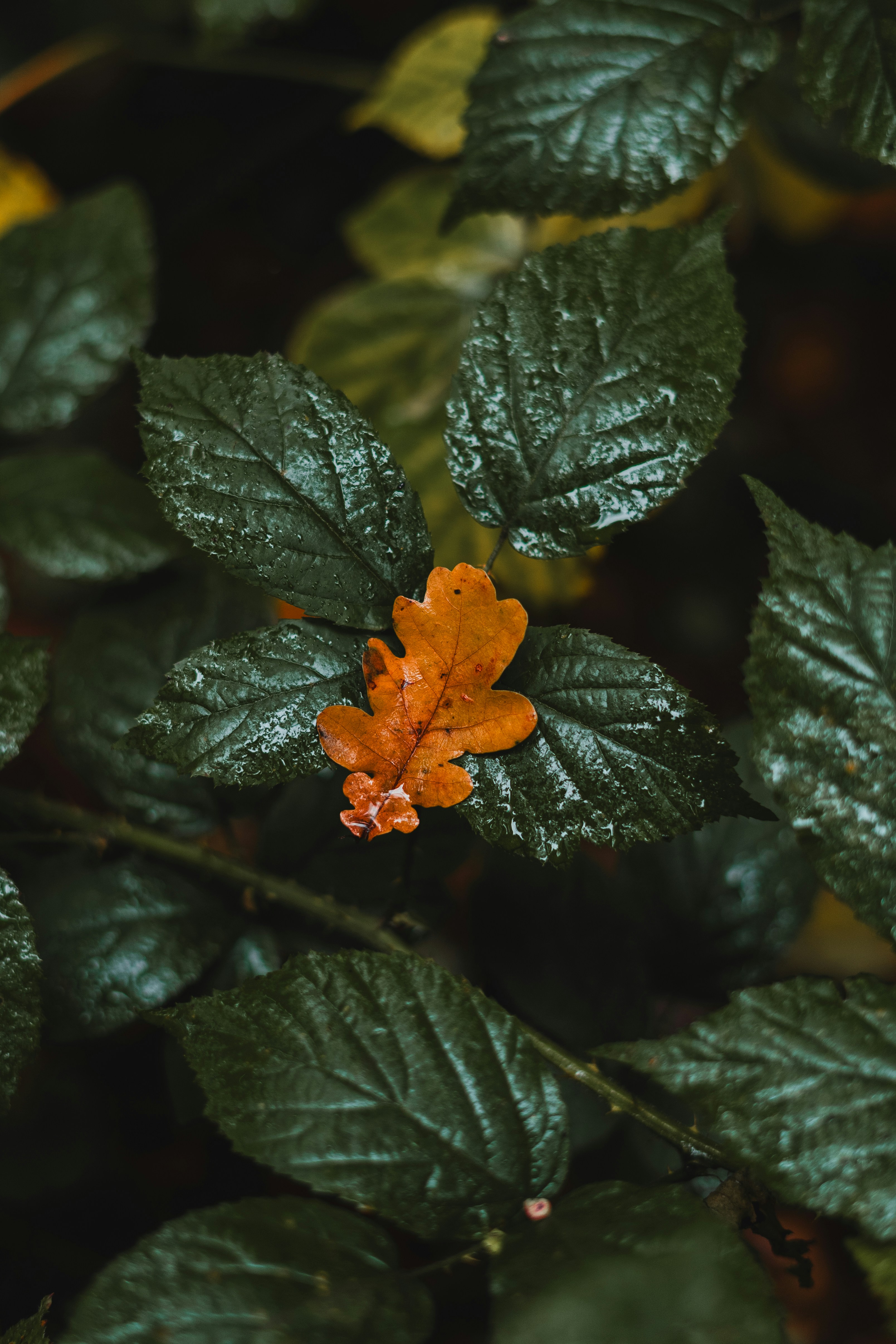 Photo by visualsbying