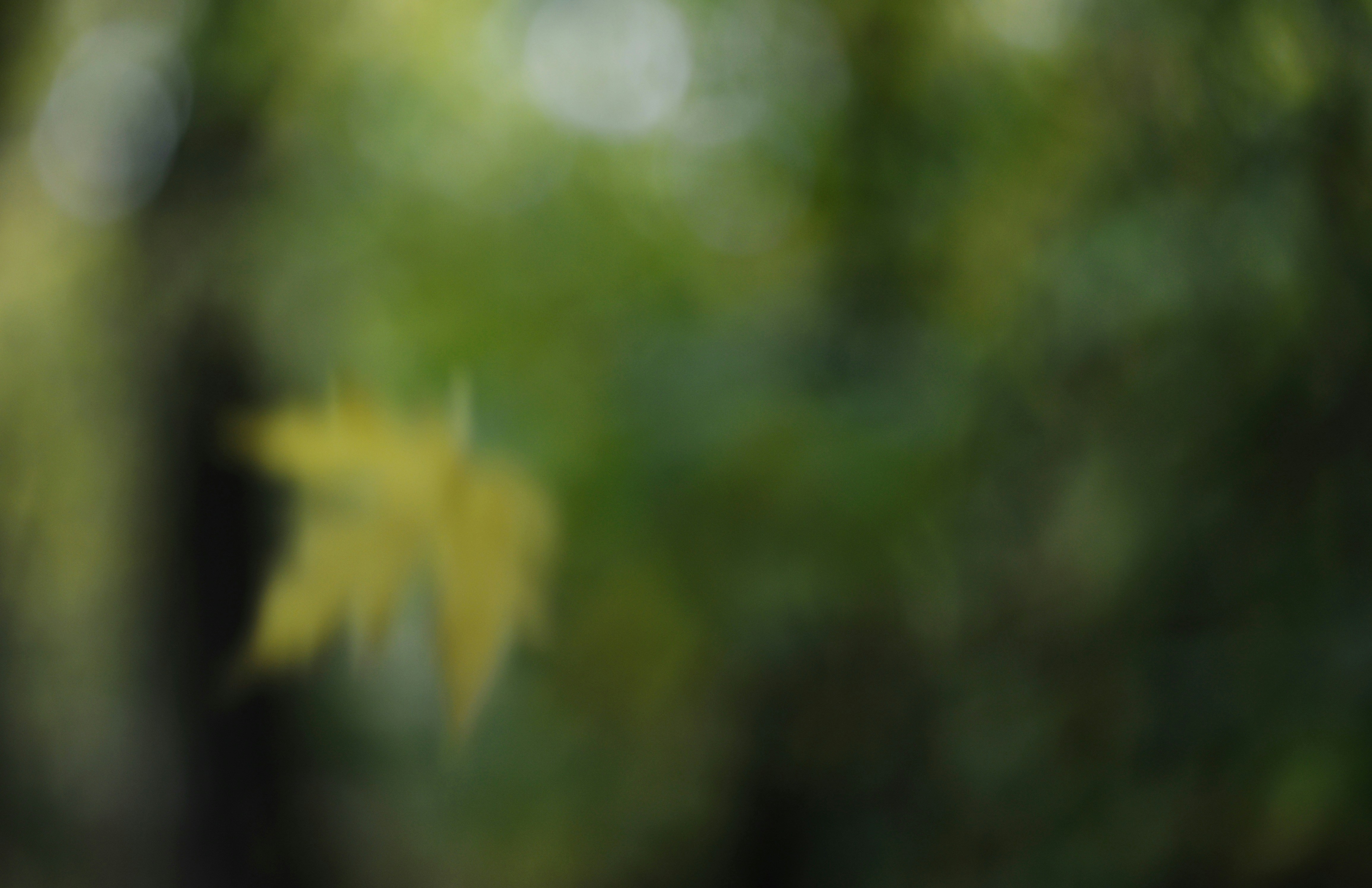 Photo by cherstve_pechivo