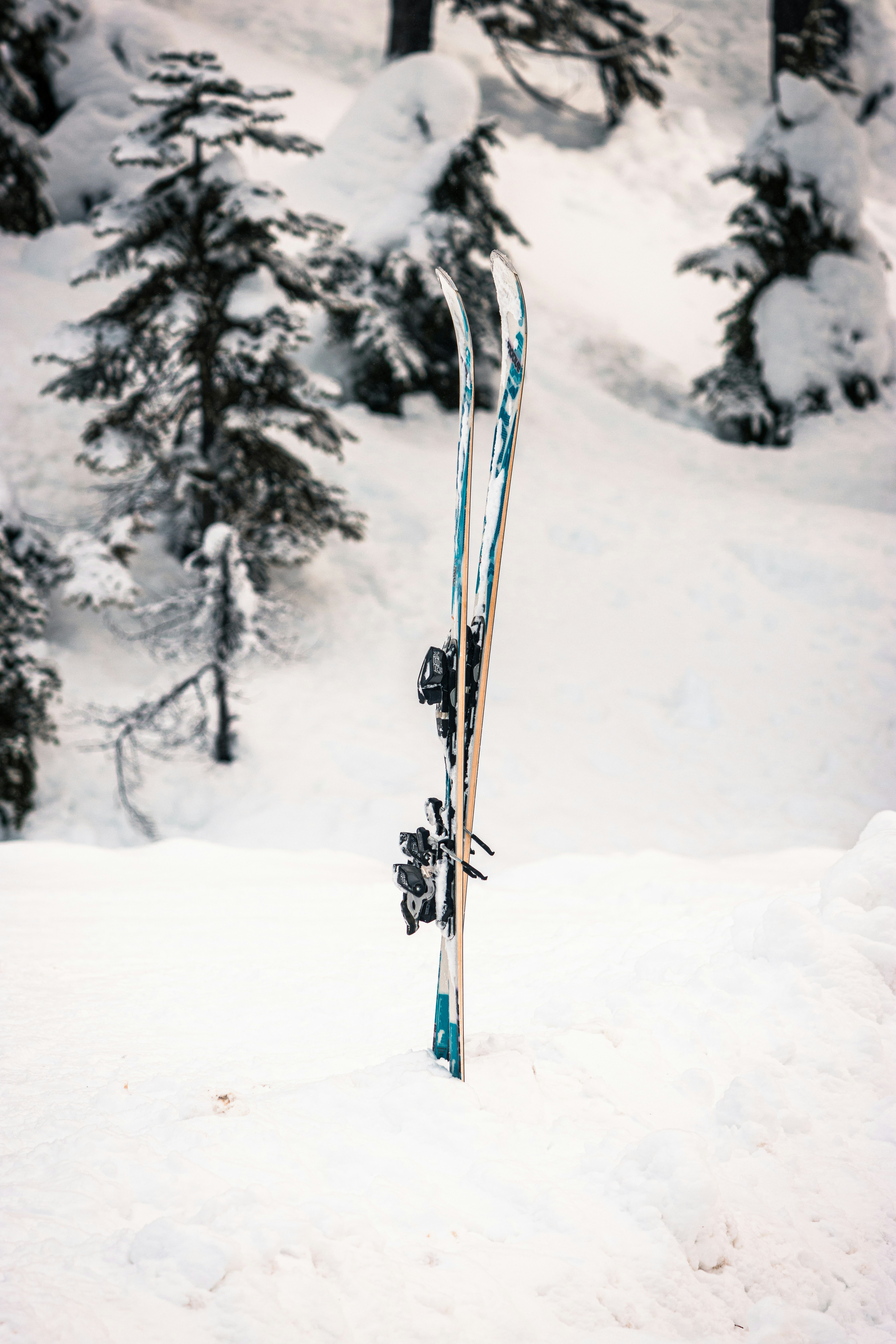 Photo by dariendesigns