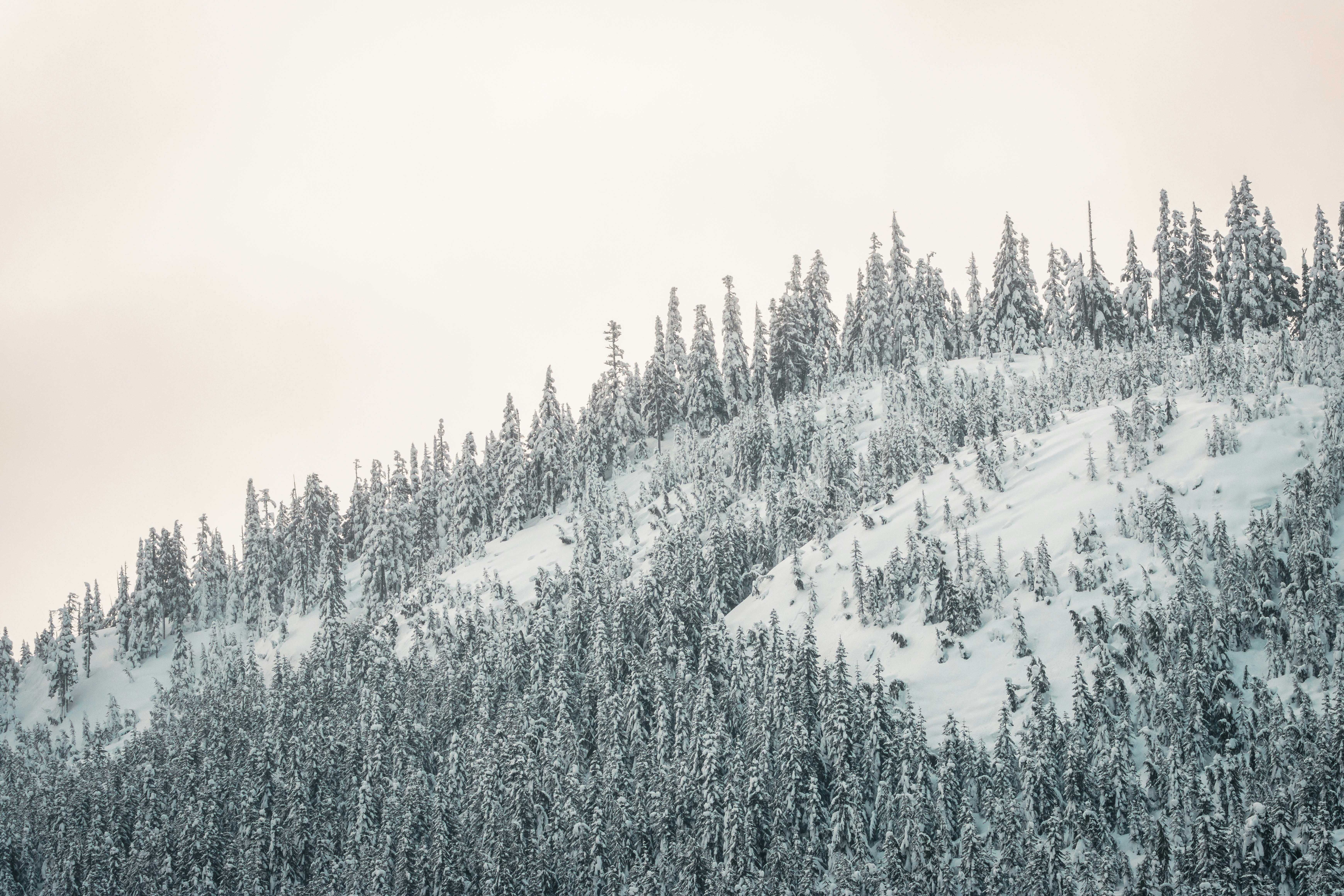 Photo by dariendesigns