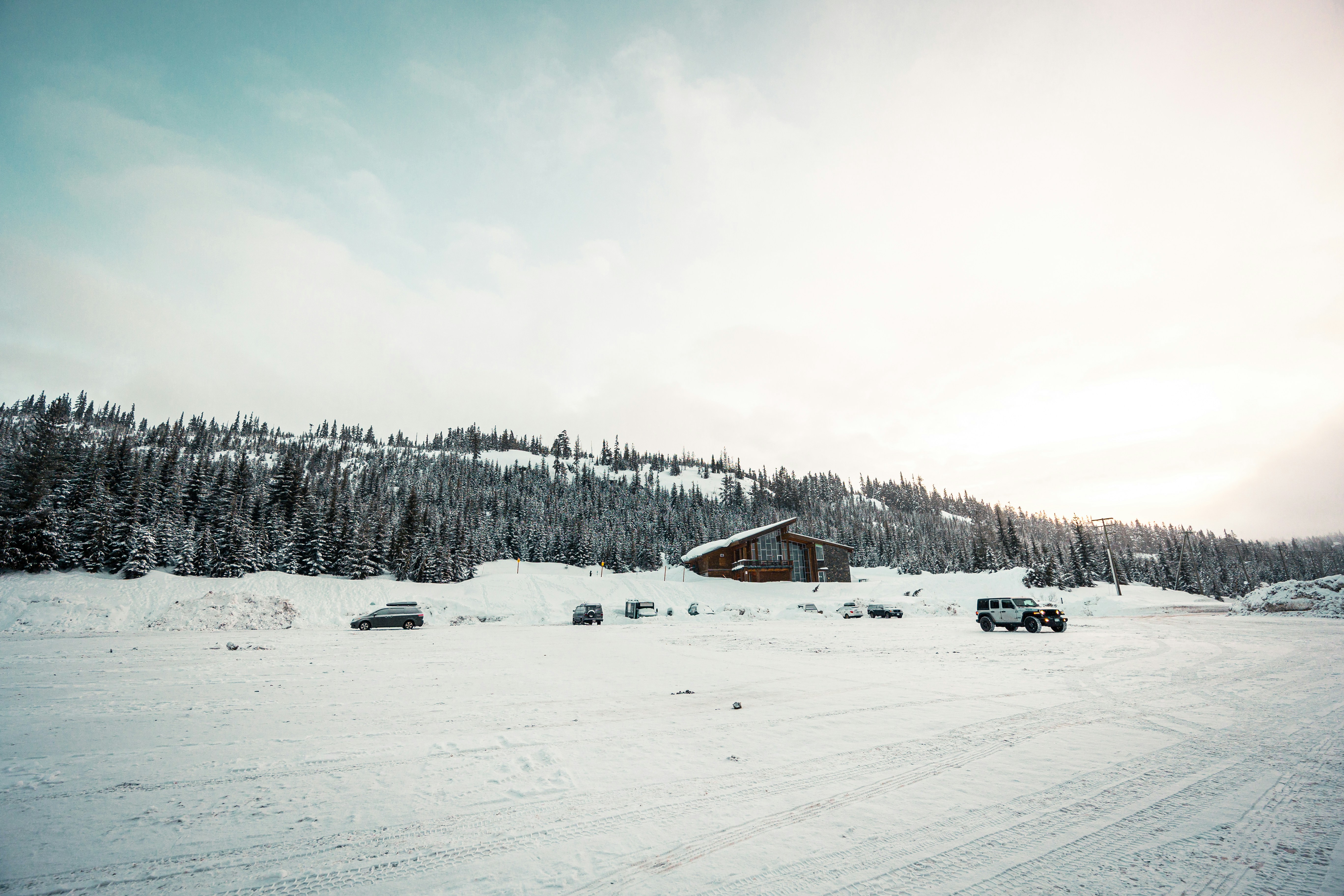 Photo by dariendesigns