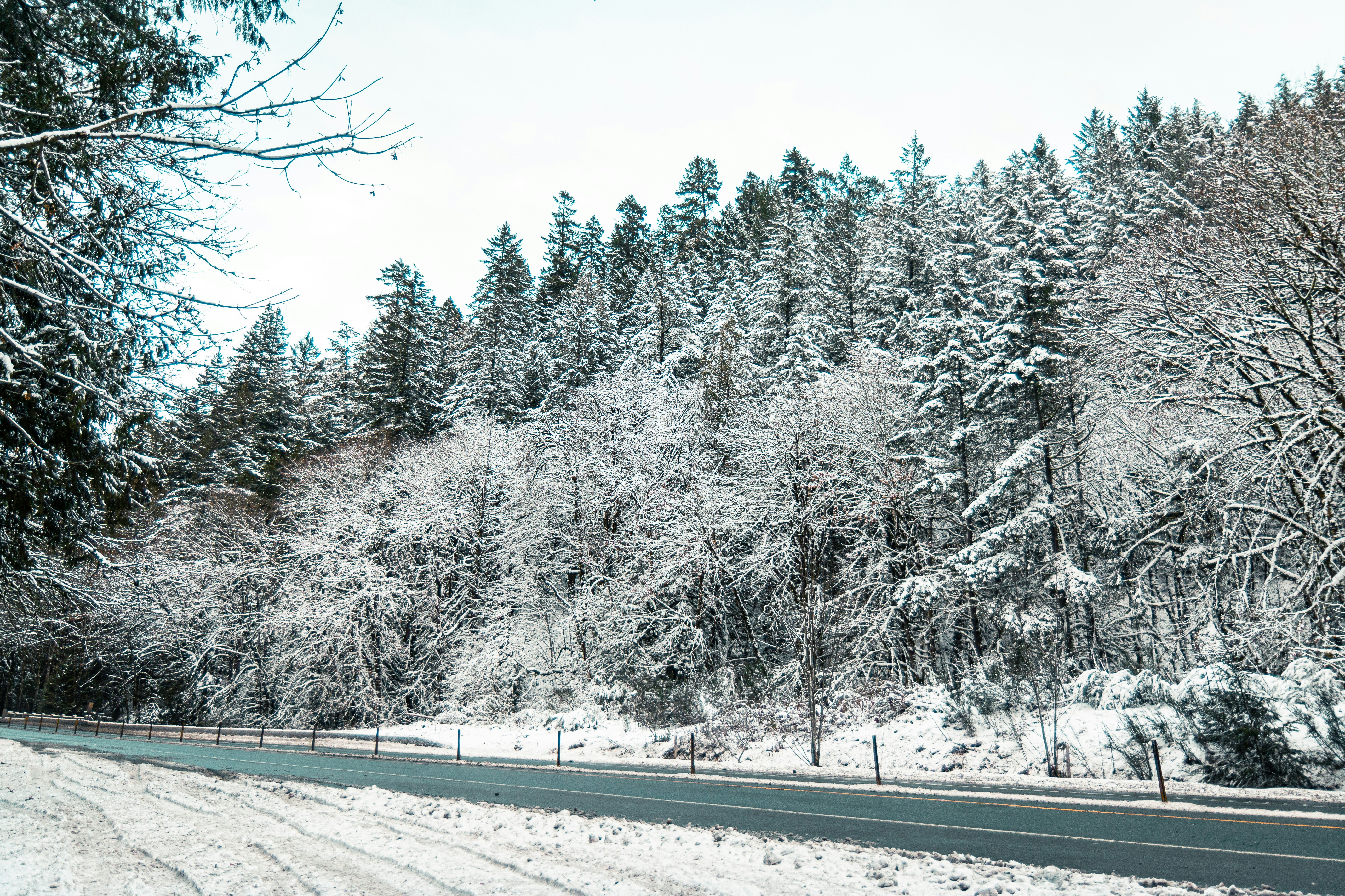 Photo by dariendesigns