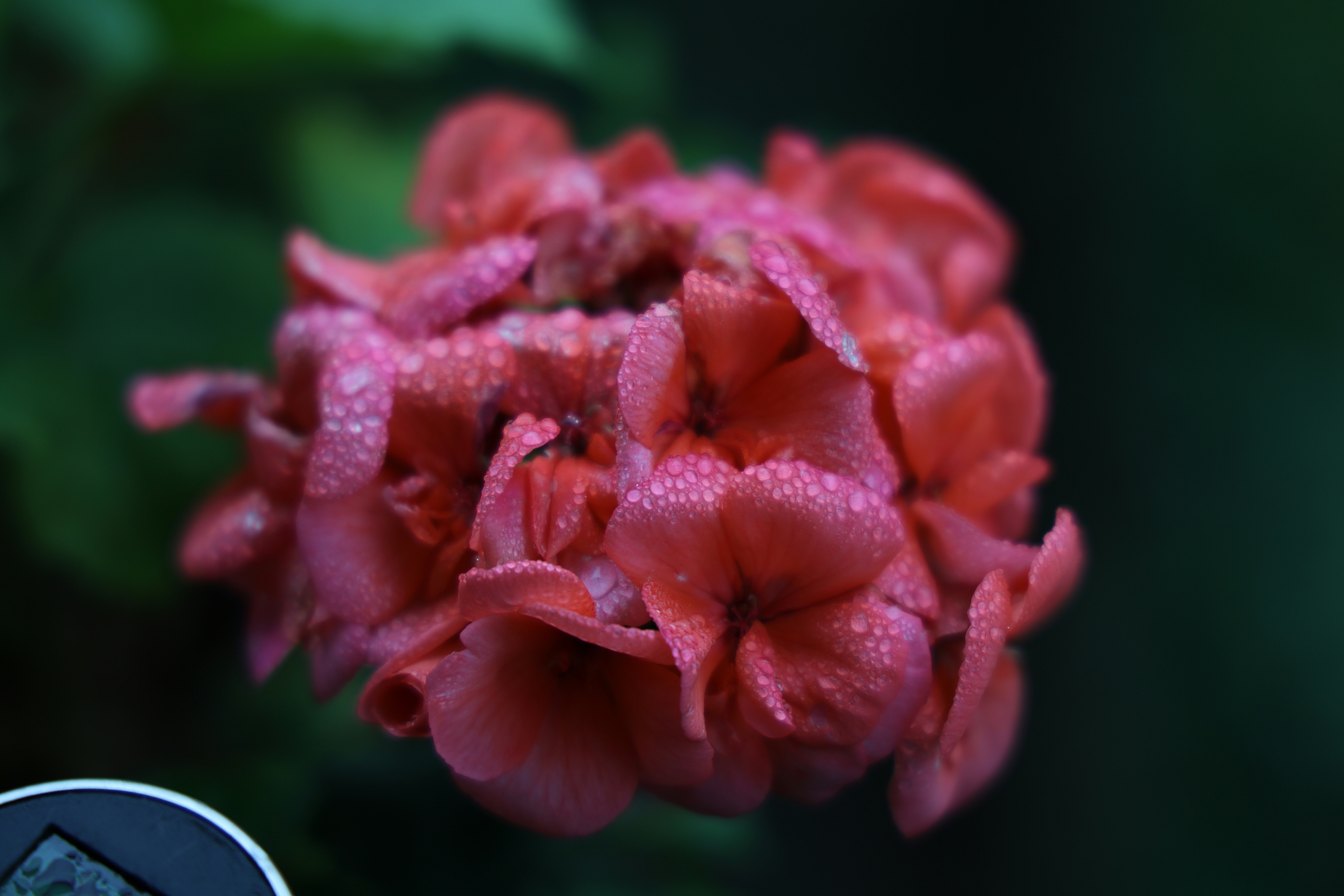 Photo by merih82