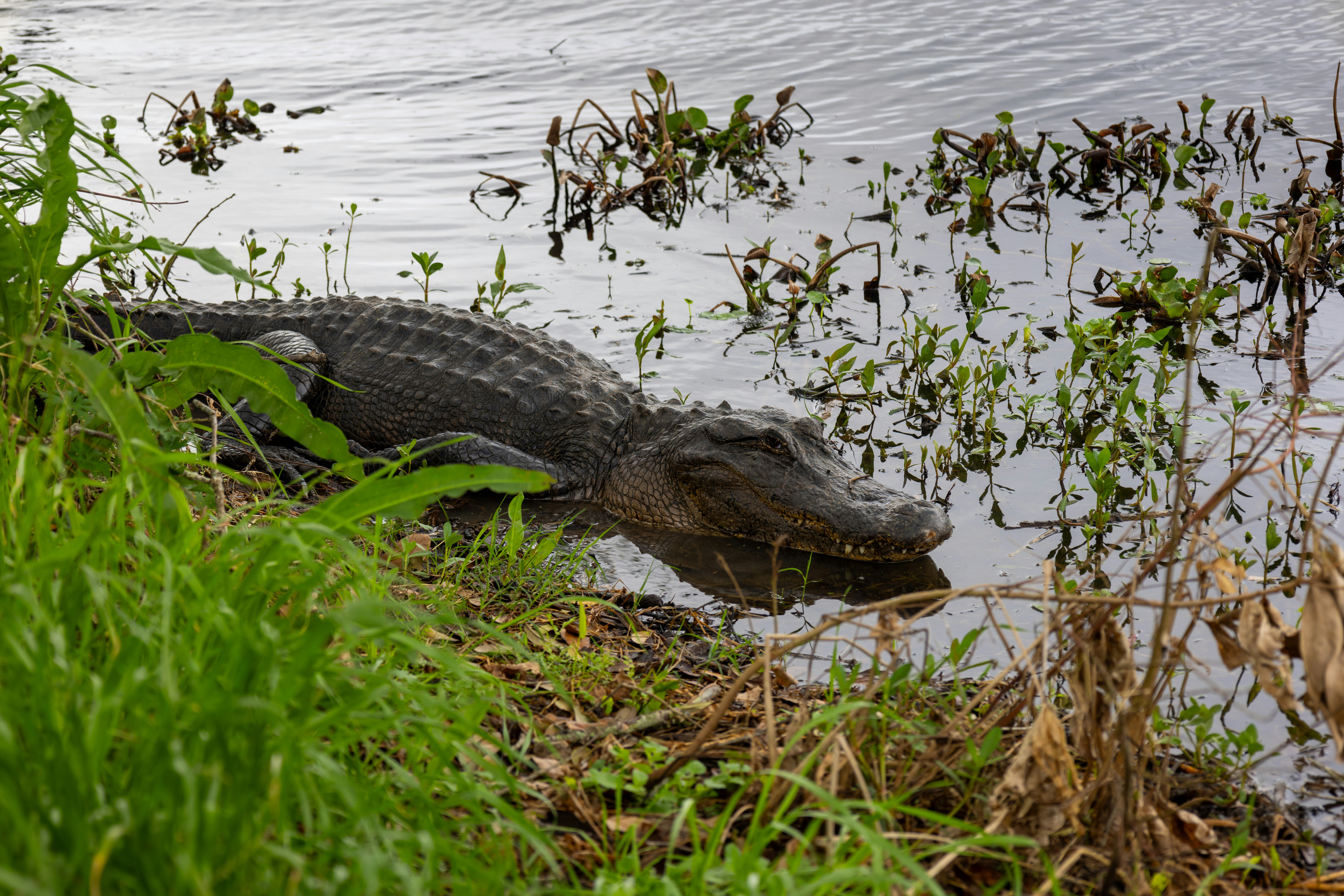 Photo by vanunsplash