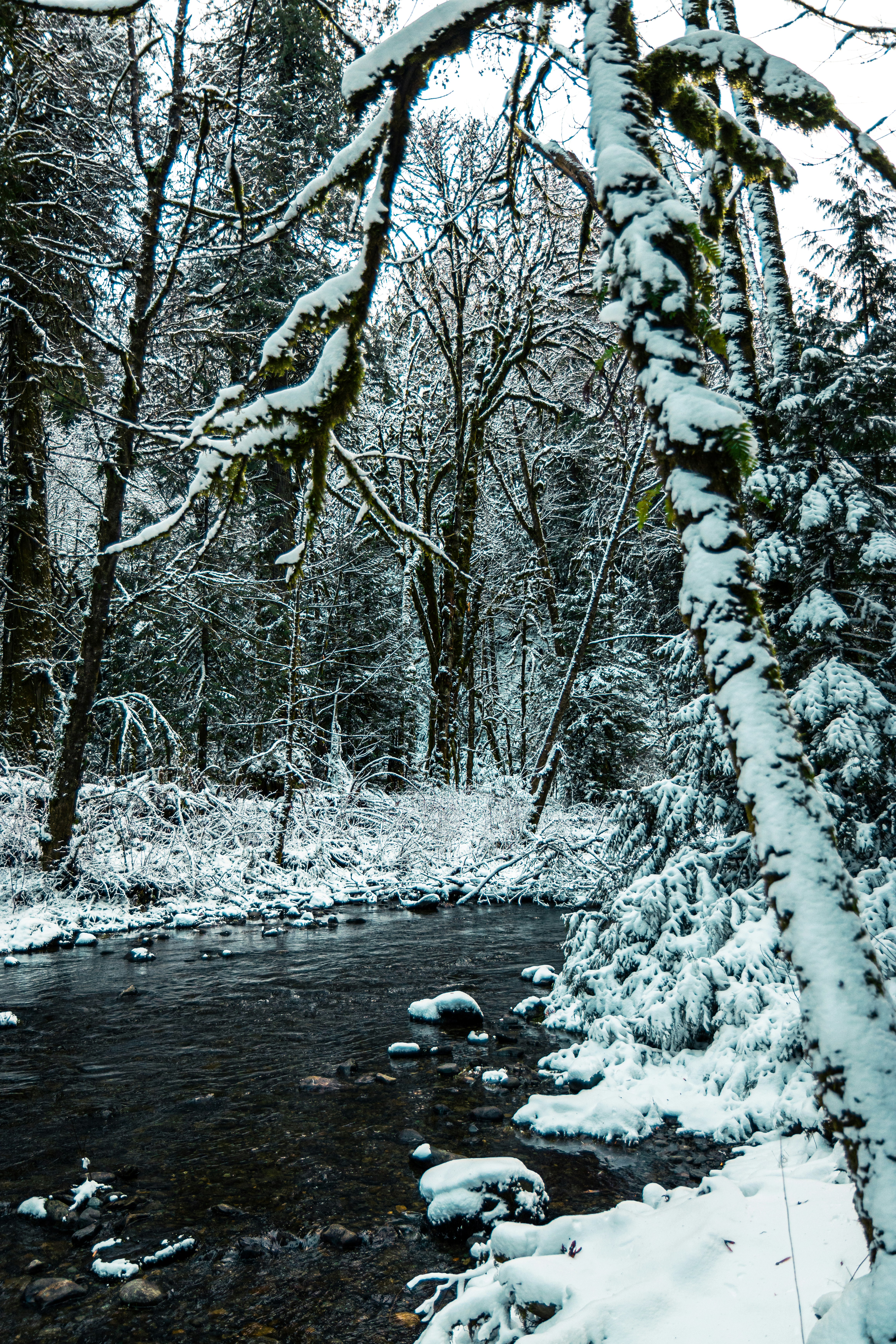 Photo by dariendesigns