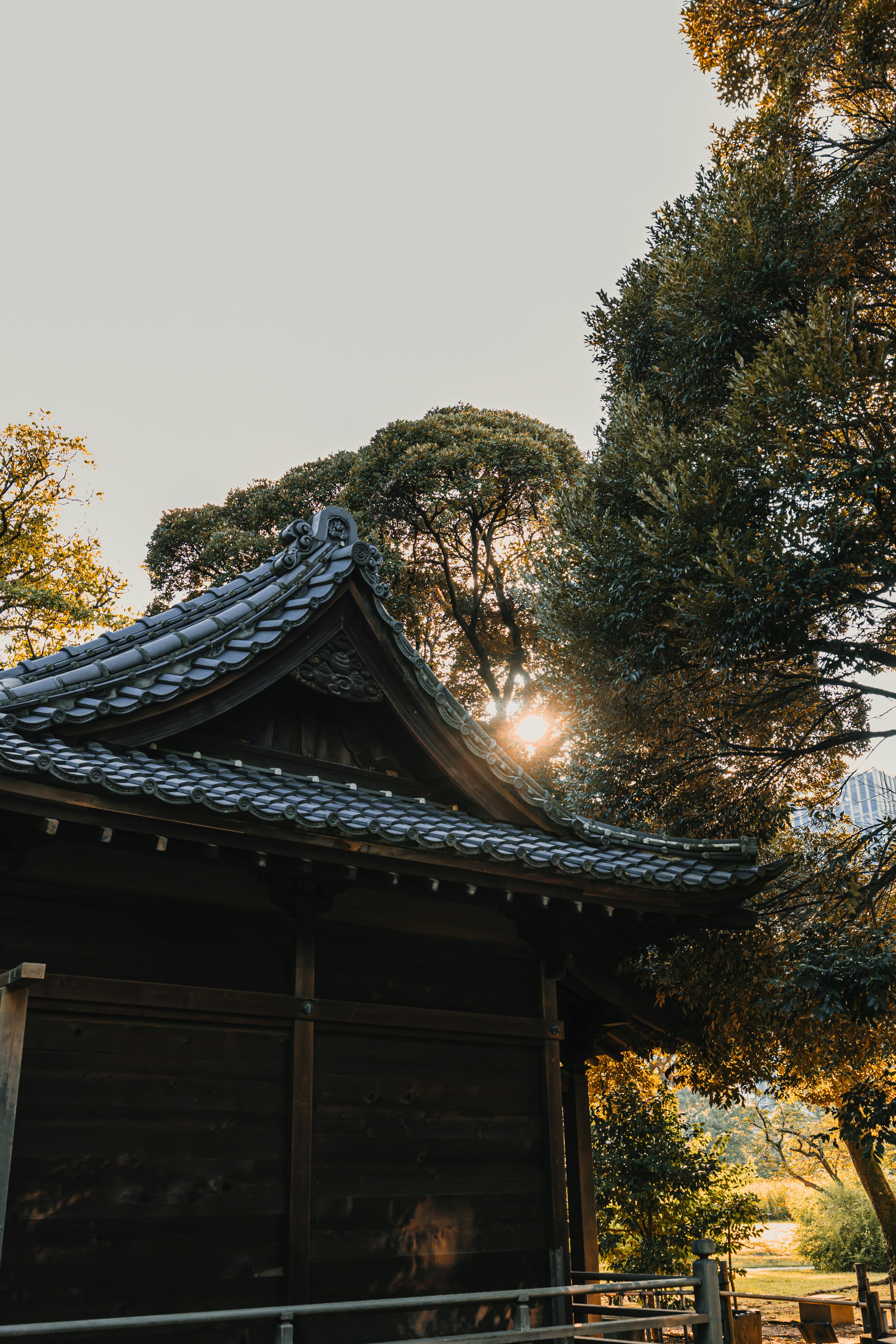 Photo by dariendesigns