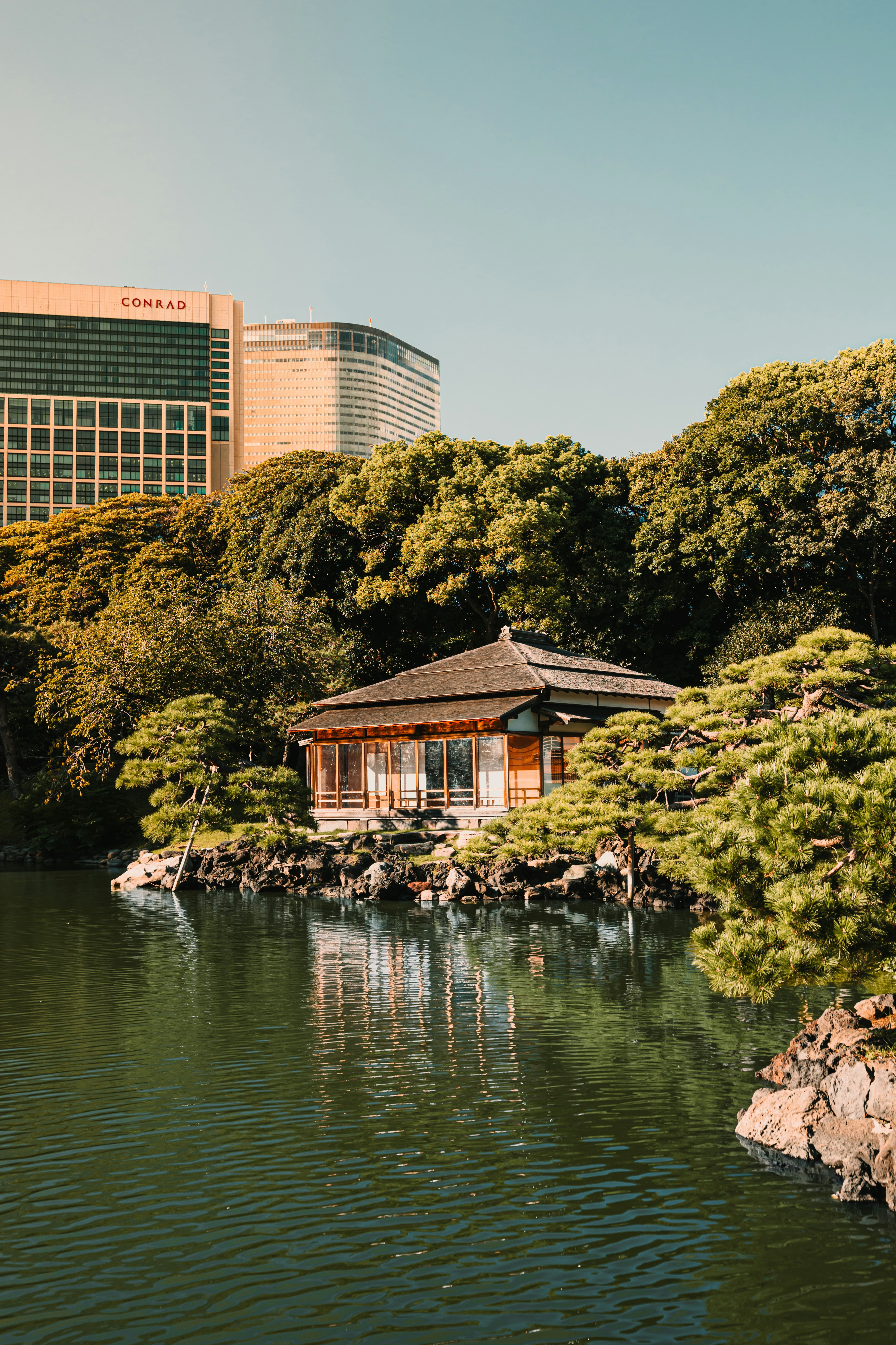 A tranquil Japanese garden with stone paths and green foliage