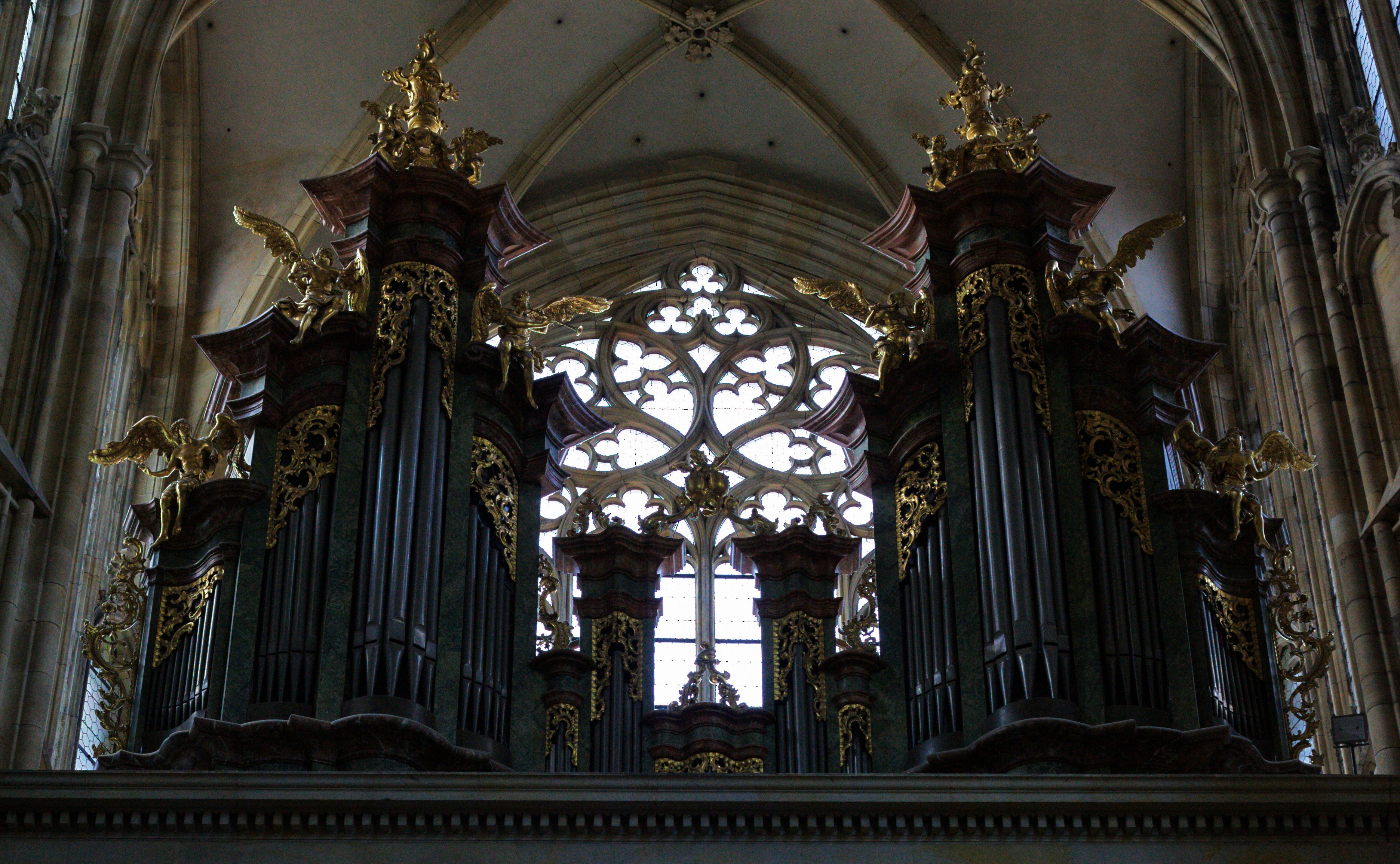 Grand pipe organ in a gothic cathedral