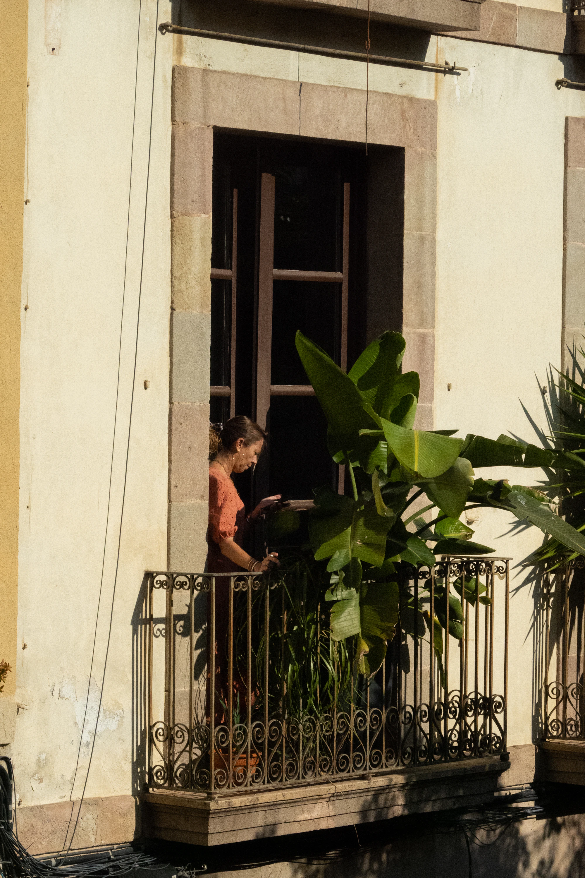 Someone tending plants on a sunny balcony