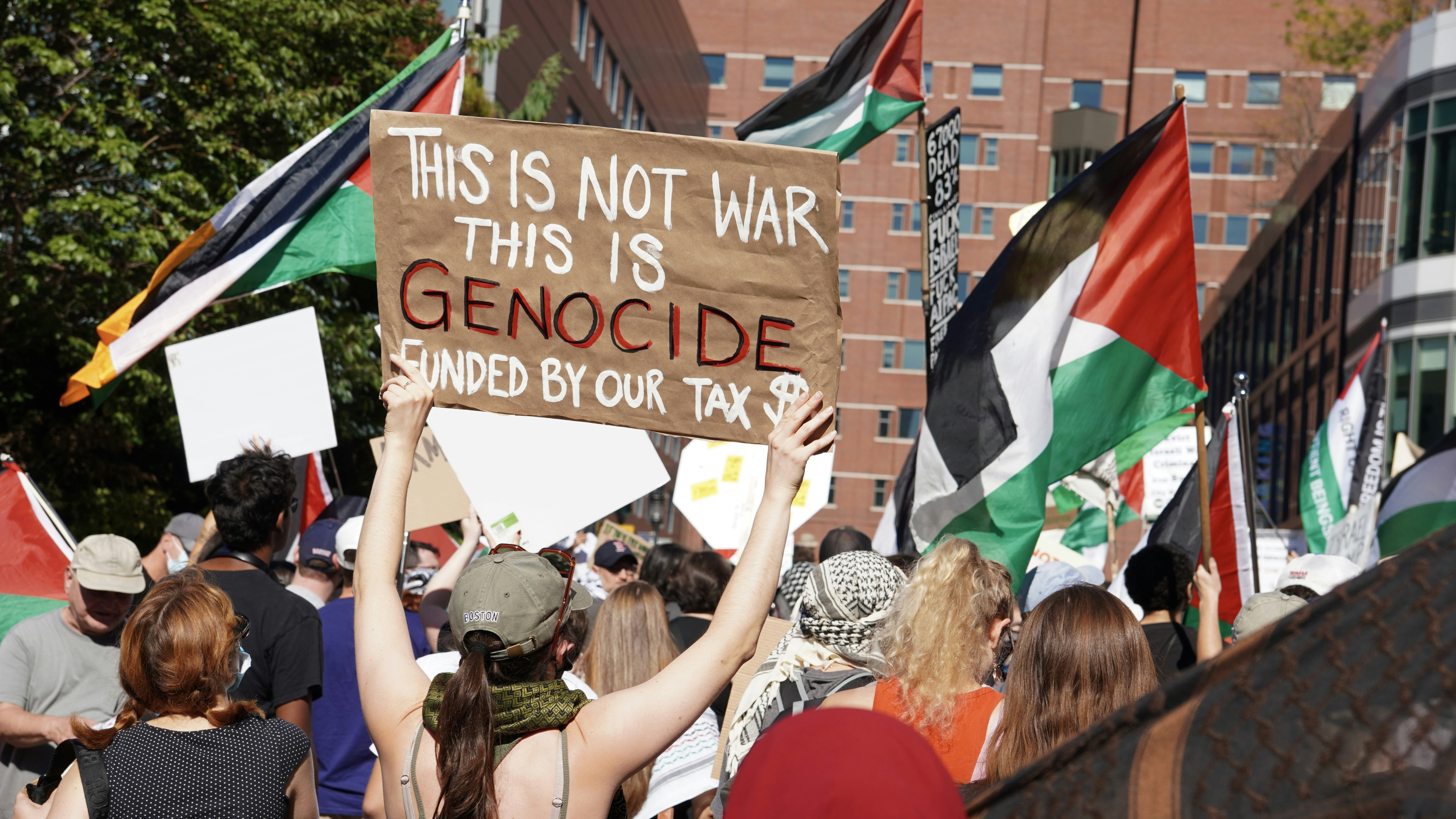 Protesters hold signs and flags at a rally.