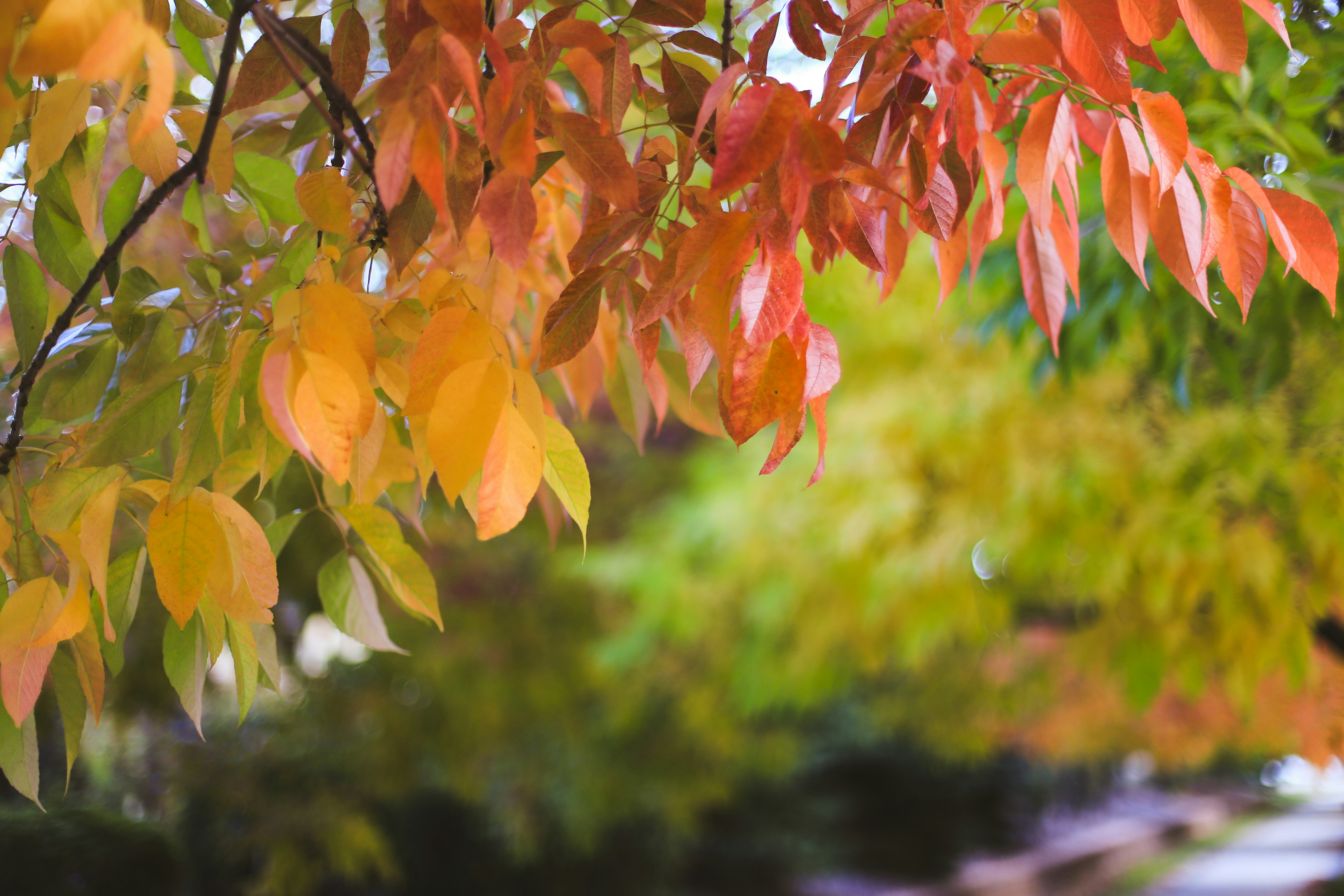 Photo by jessicalfadel