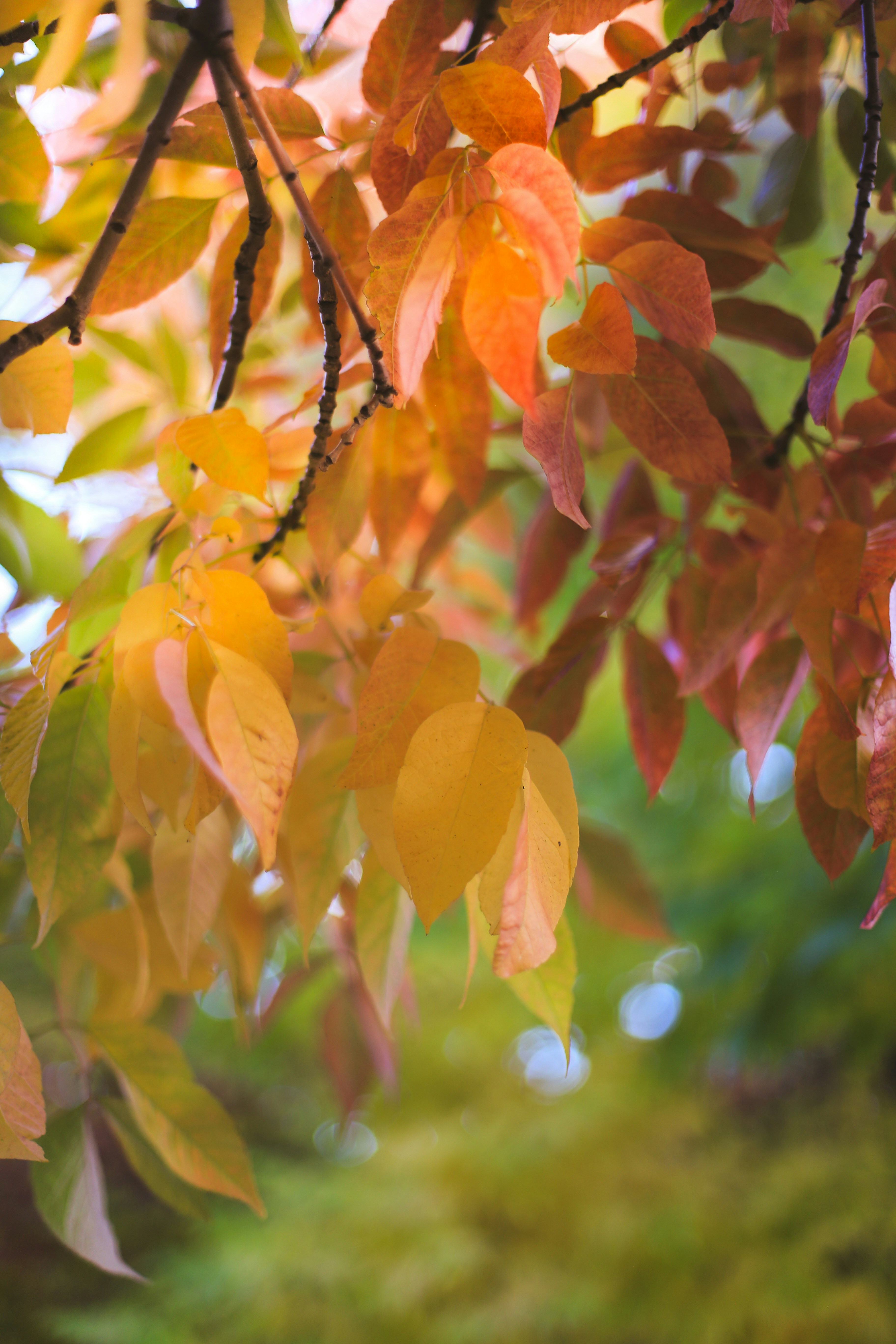 Photo by jessicalfadel