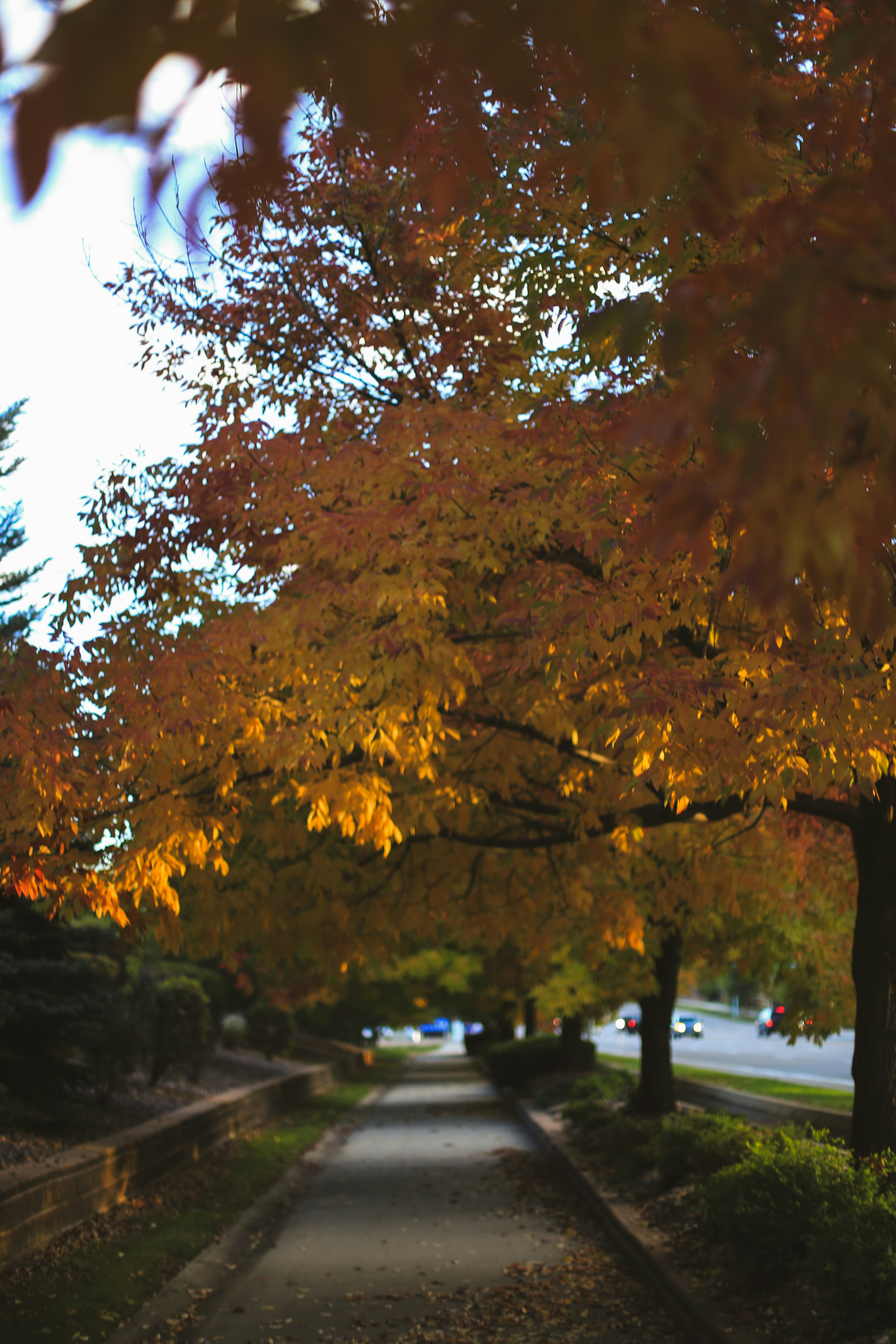 Photo by jessicalfadel