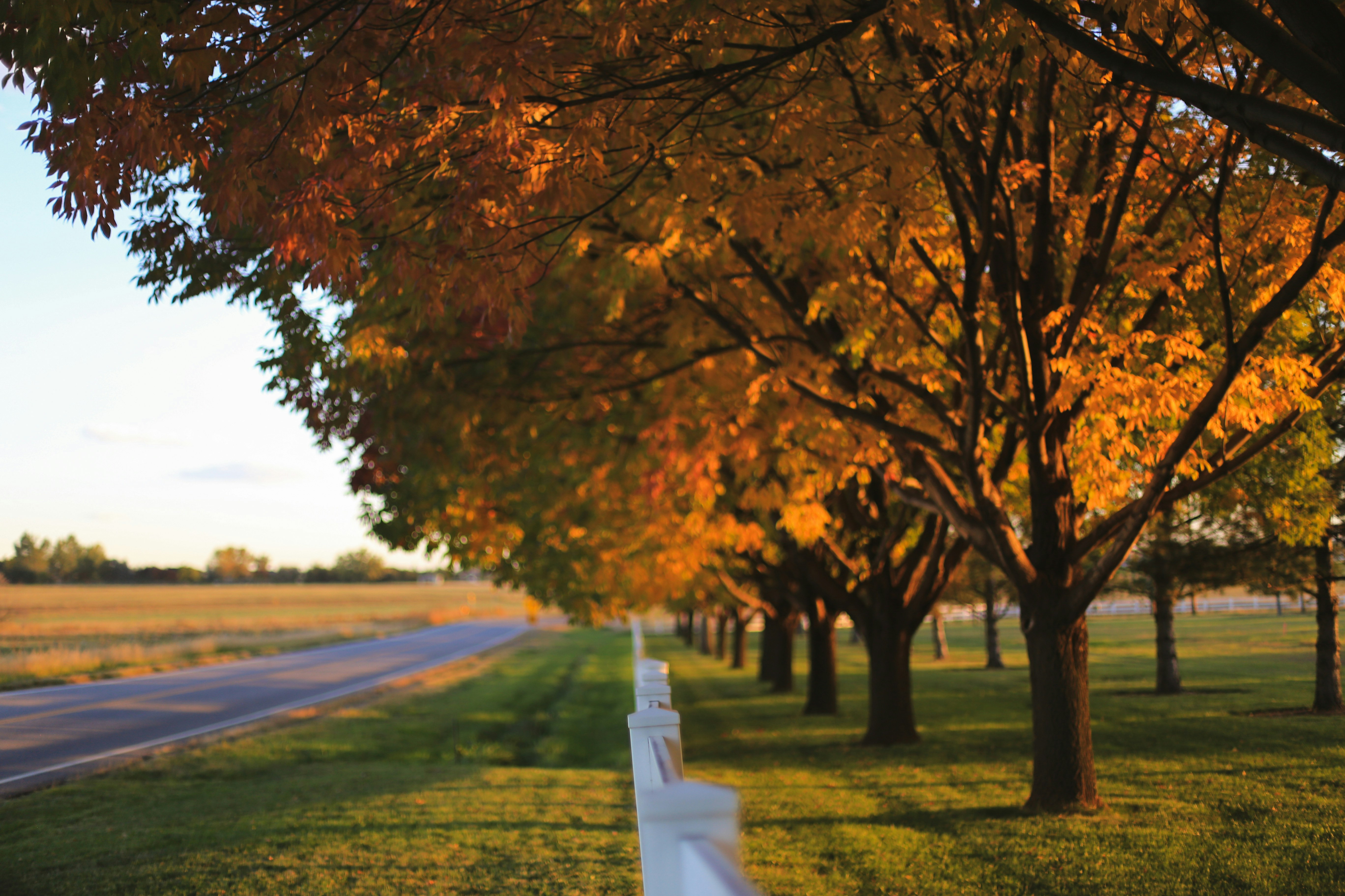 Photo by jessicalfadel