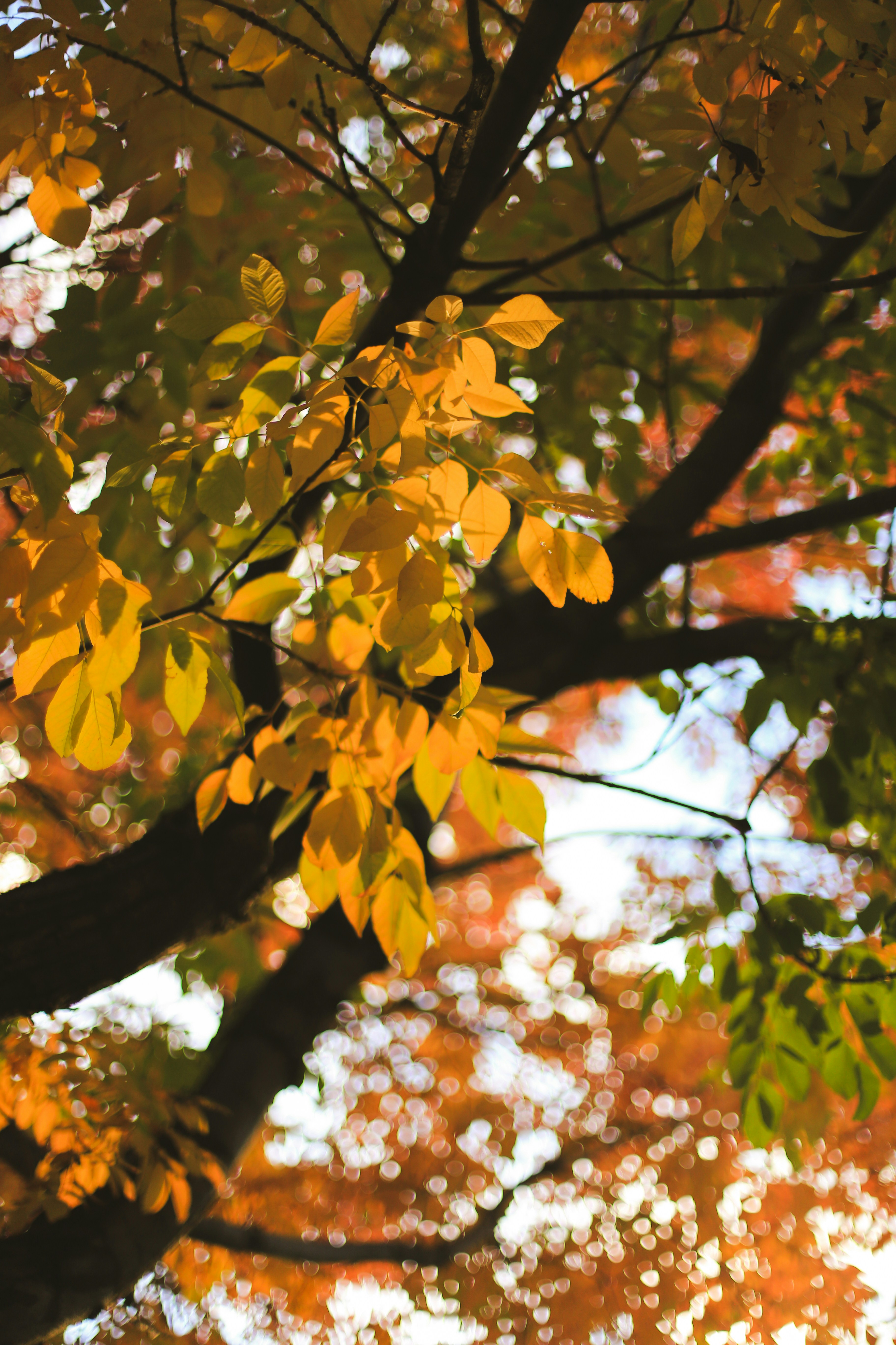 Photo by jessicalfadel