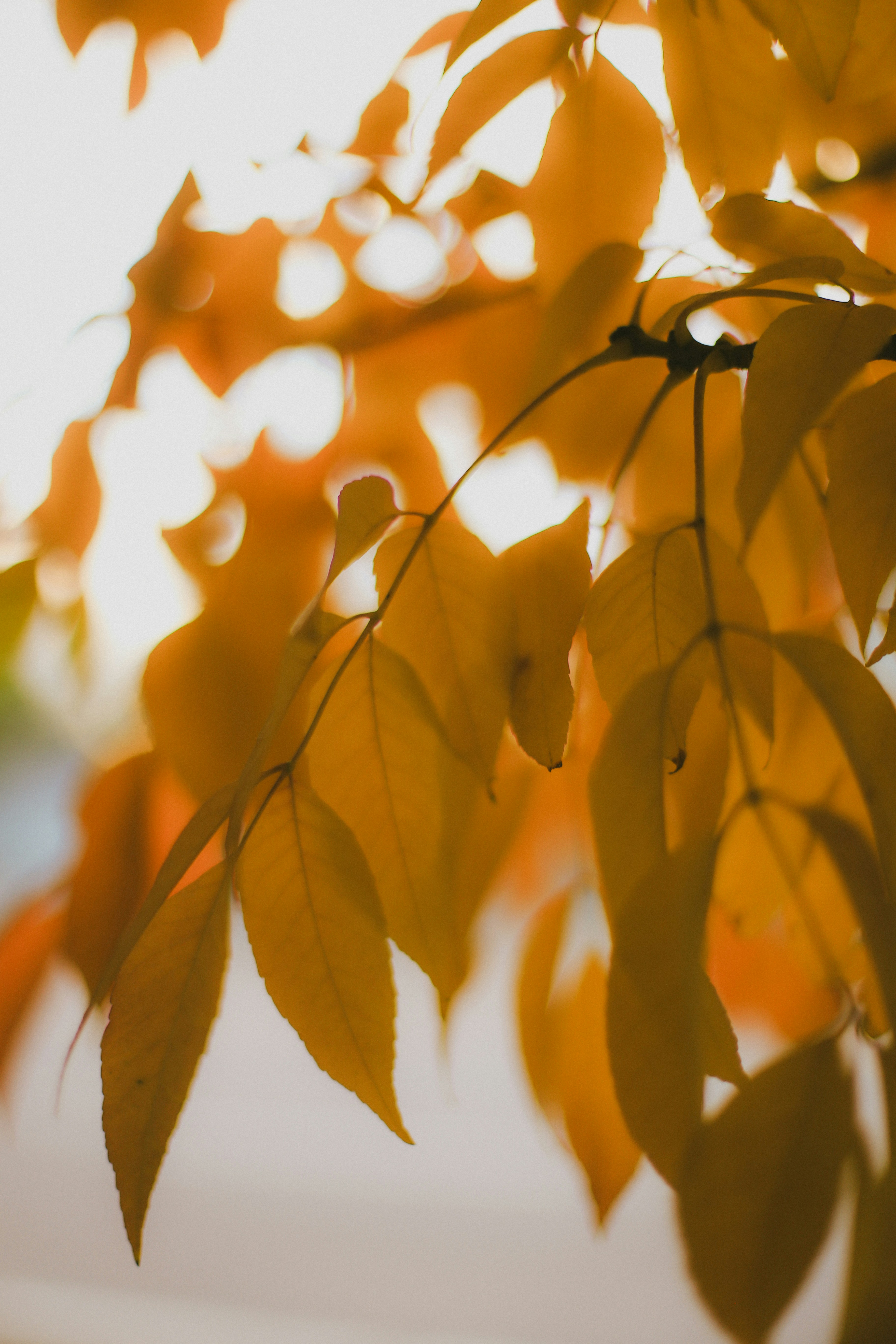 Photo by jessicalfadel