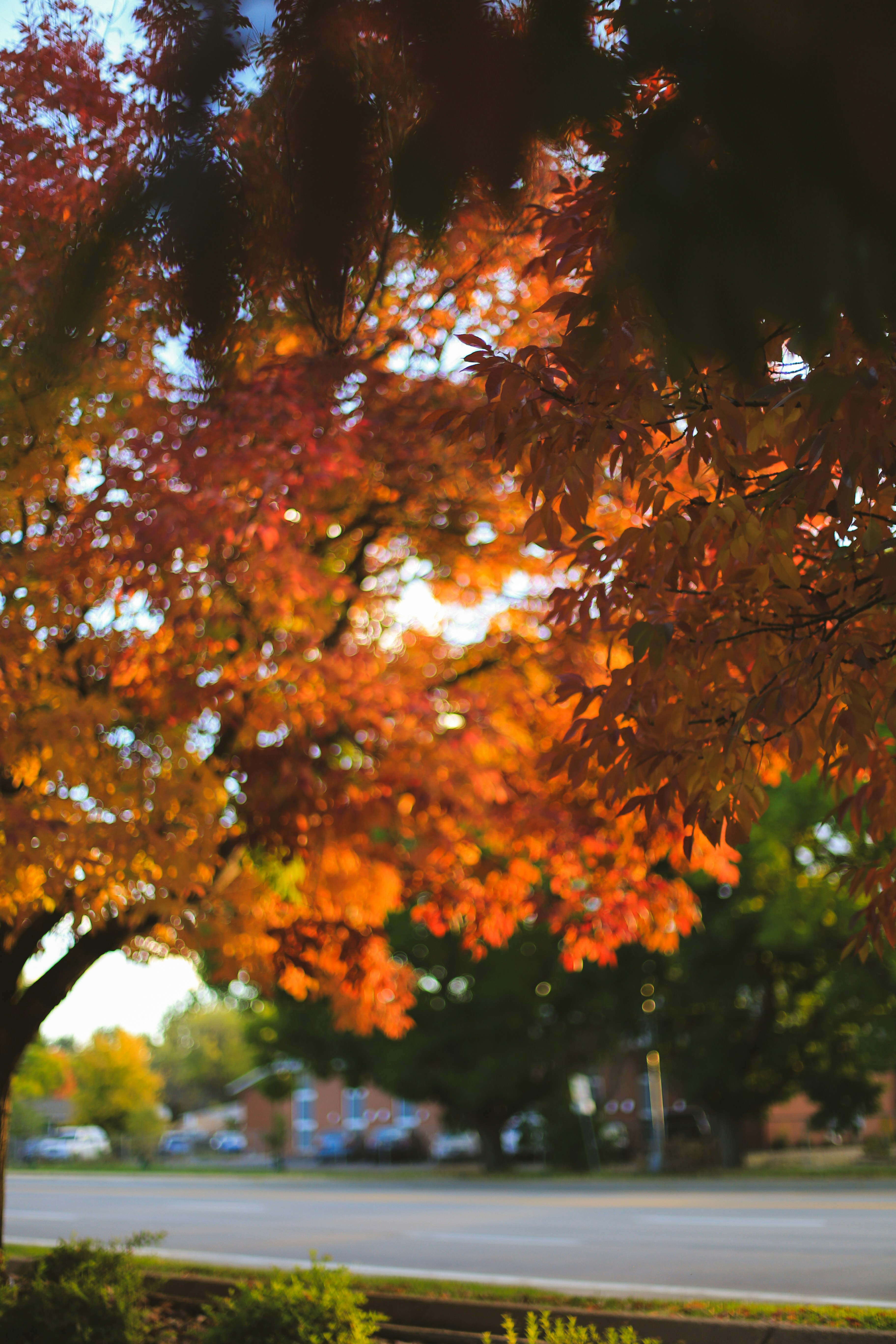 Photo by jessicalfadel