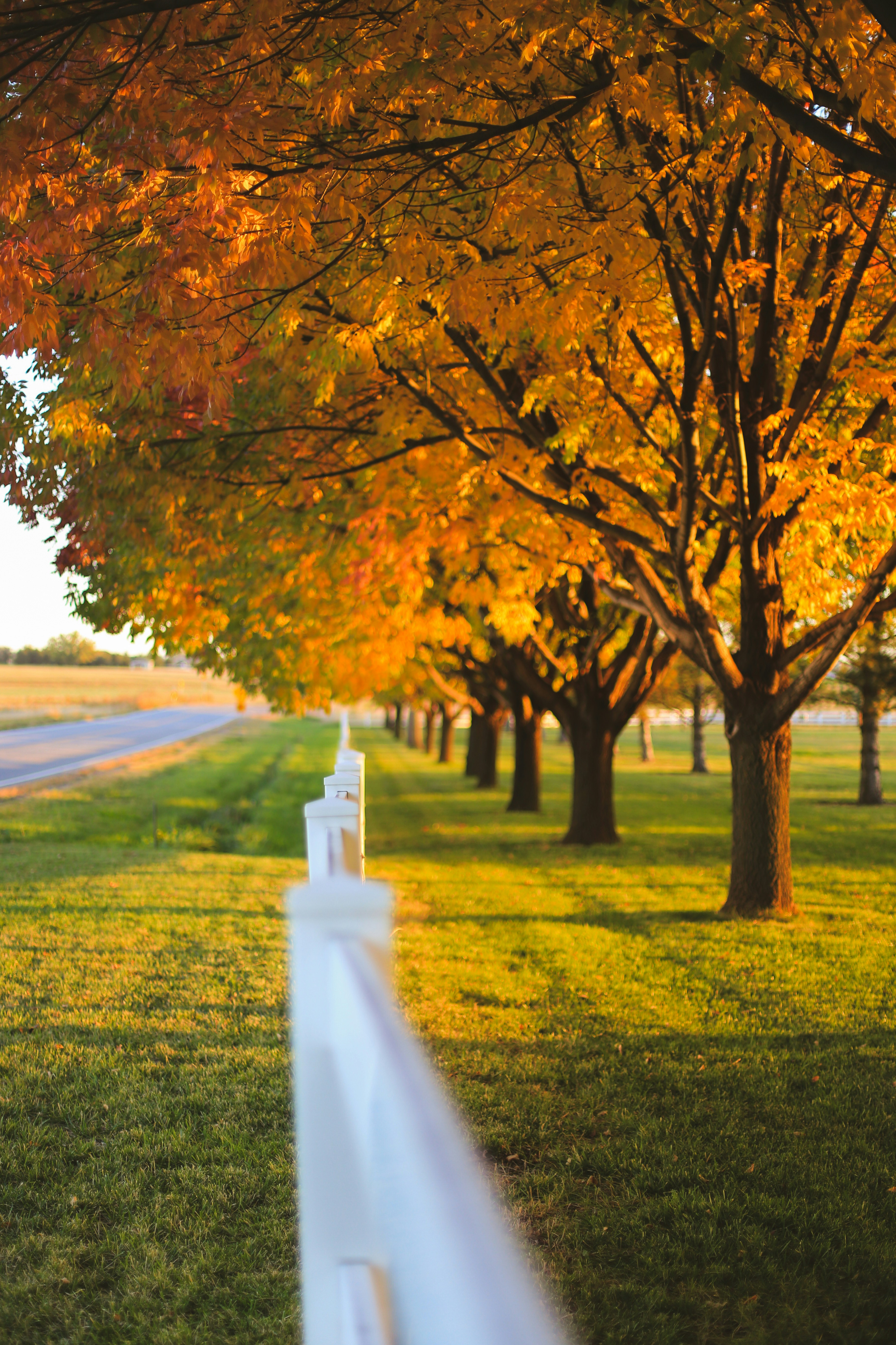 Photo by jessicalfadel