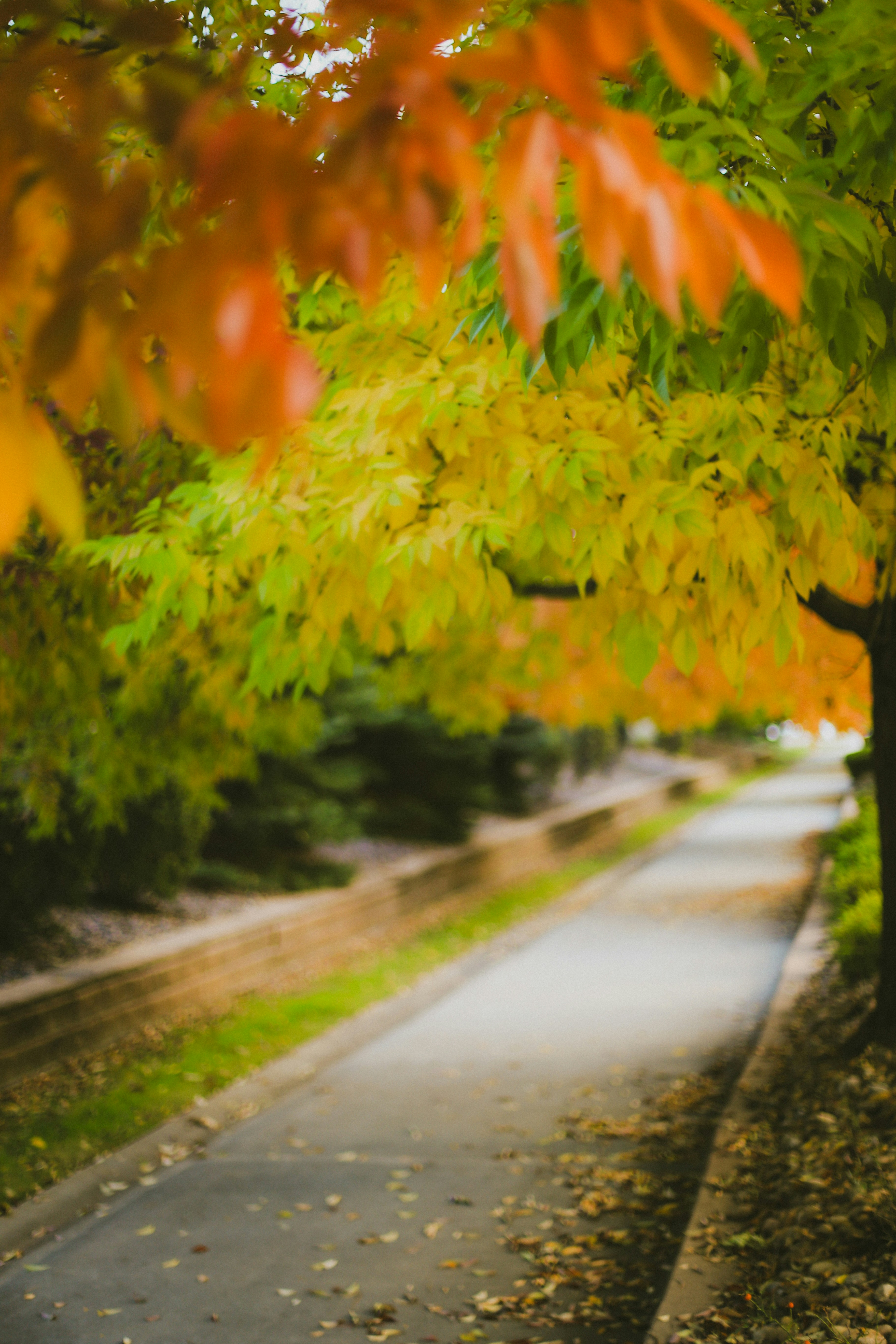 Photo by jessicalfadel