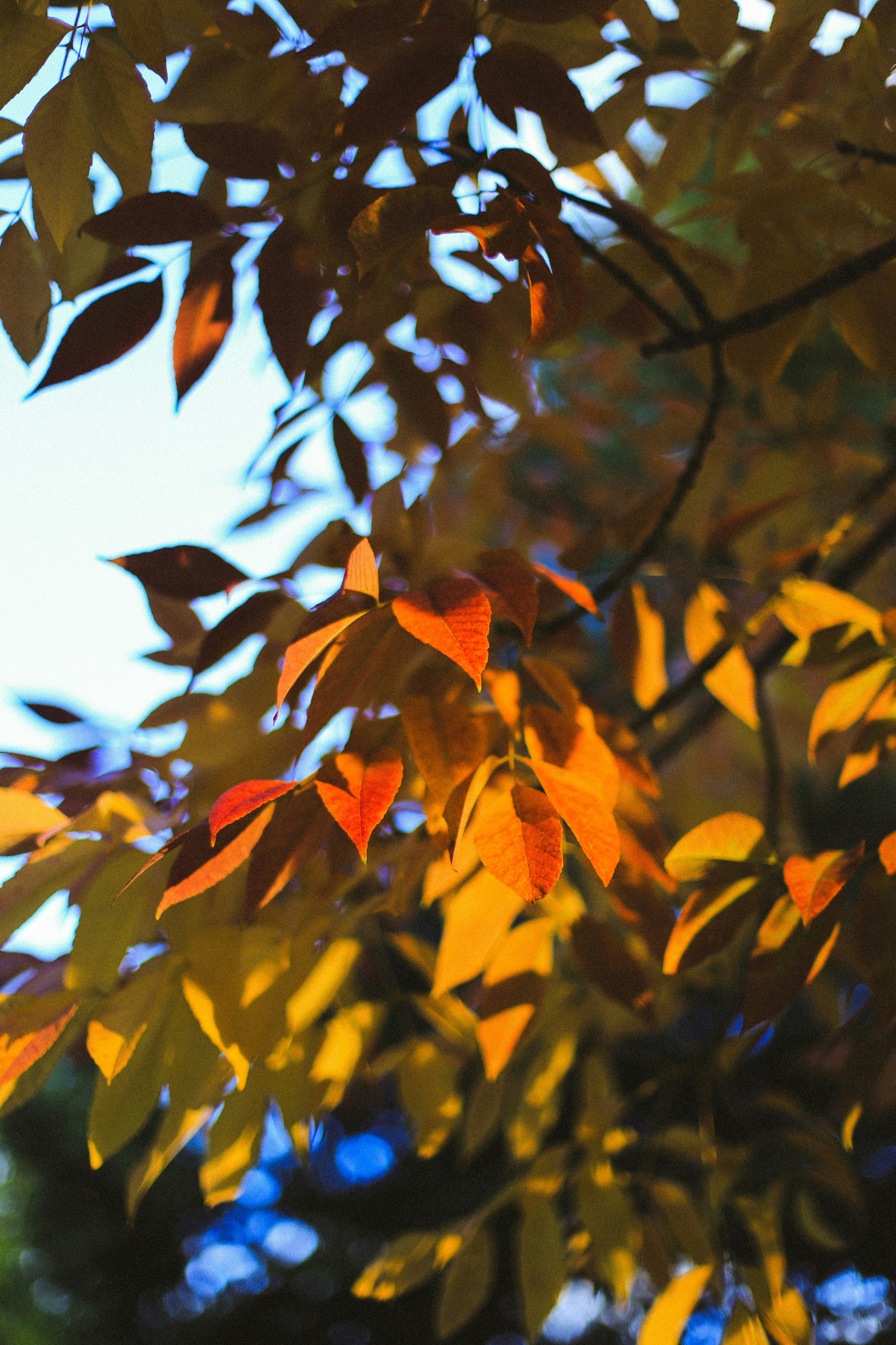 Photo by jessicalfadel