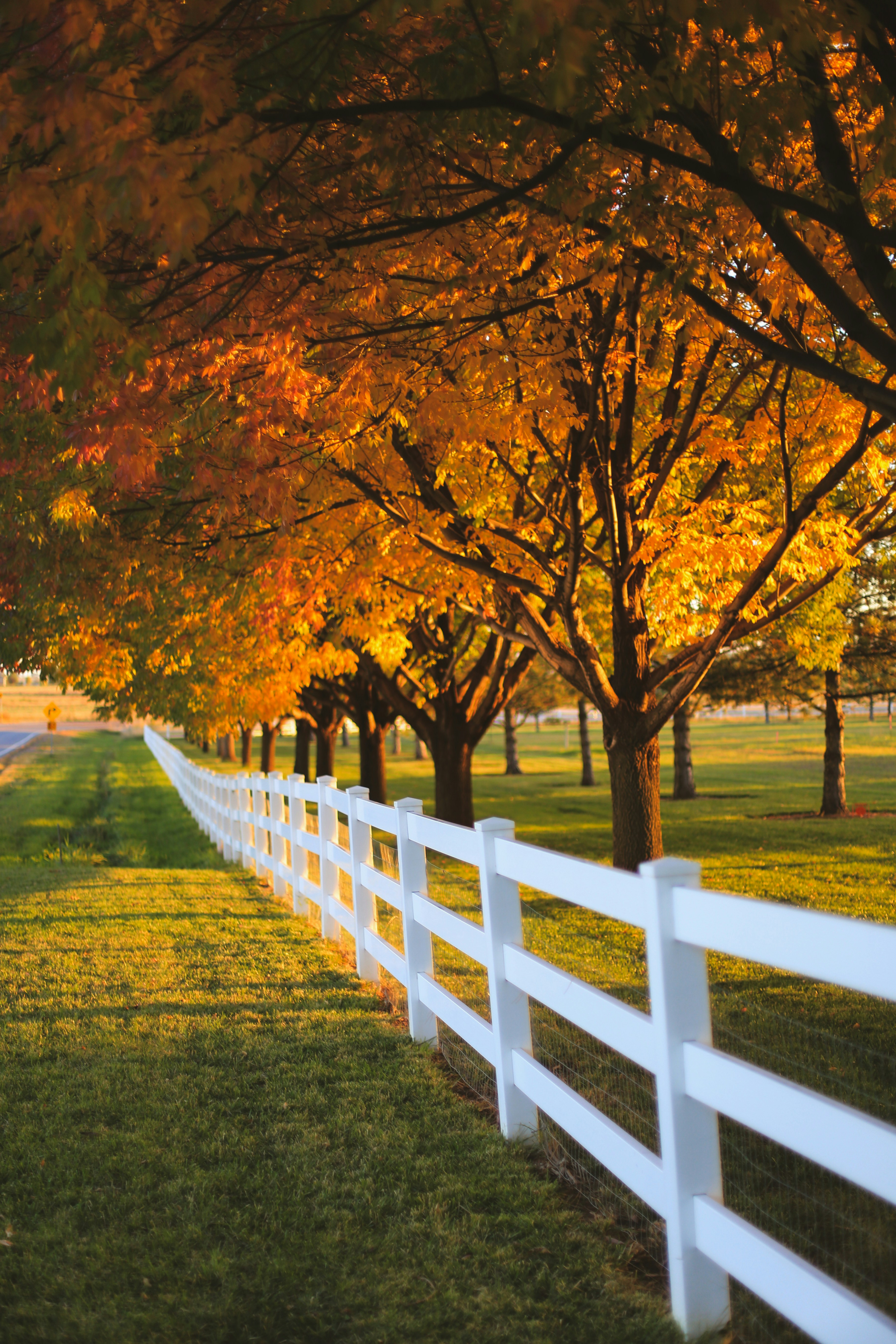 Photo by jessicalfadel