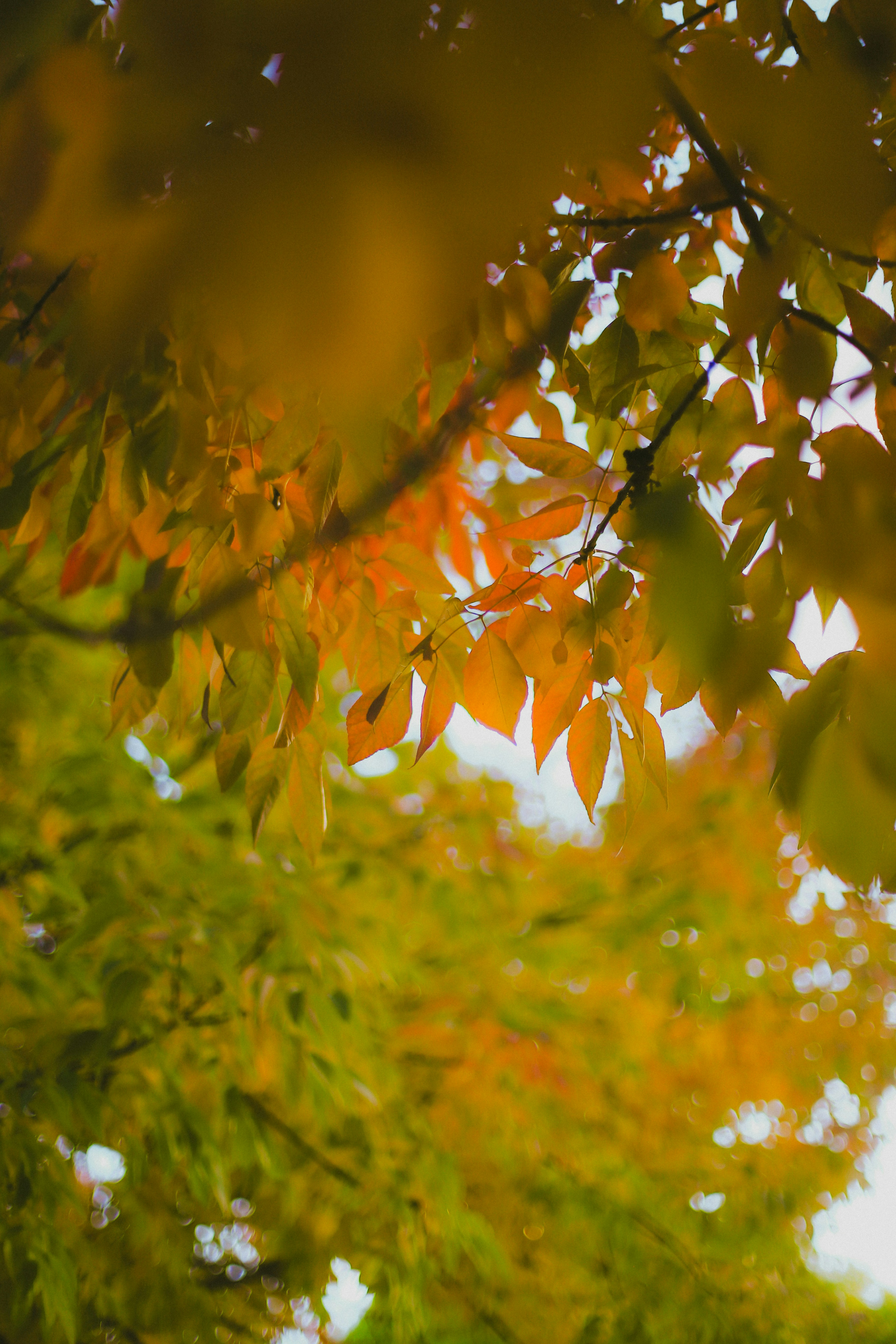 Photo by jessicalfadel