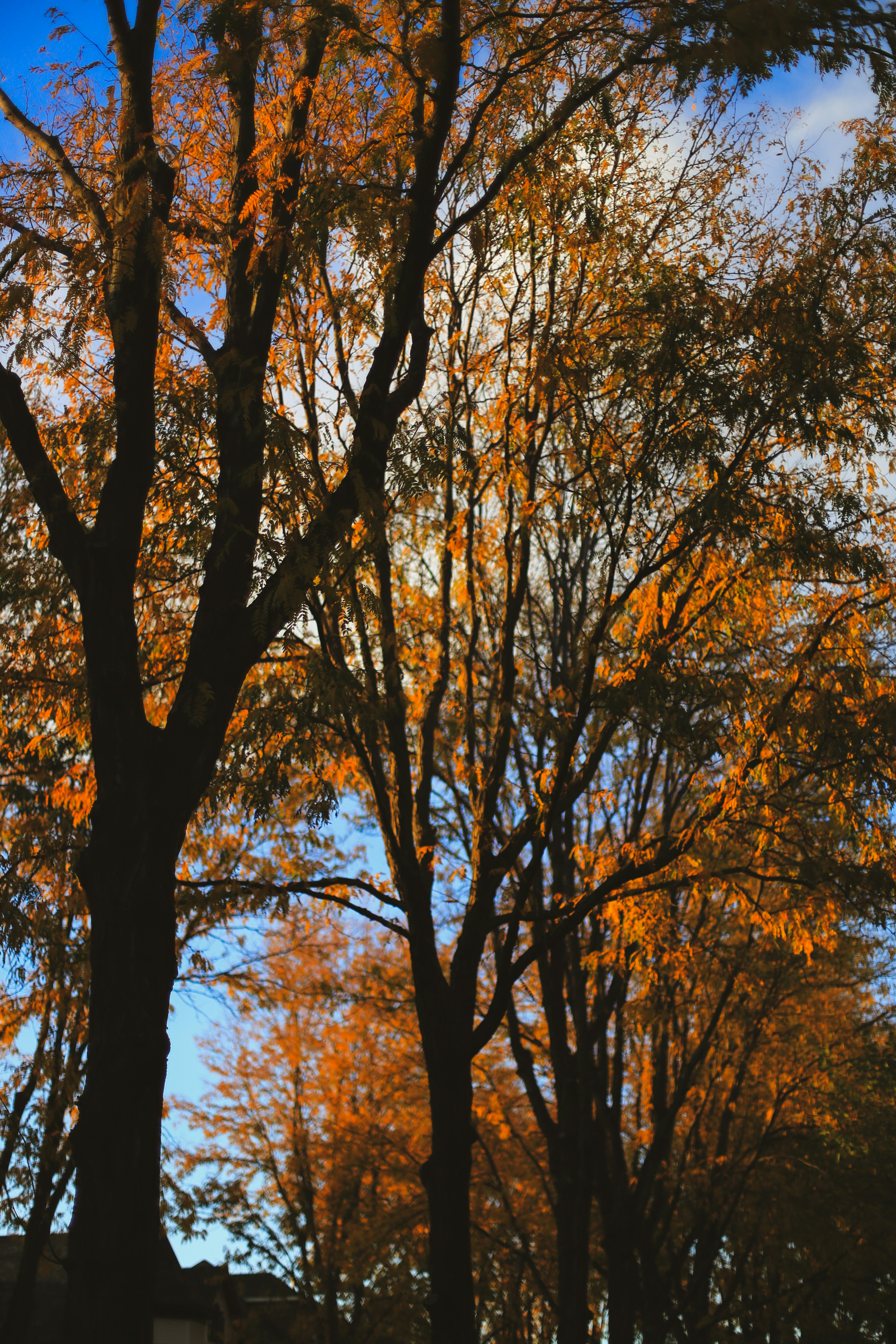 Photo by jessicalfadel