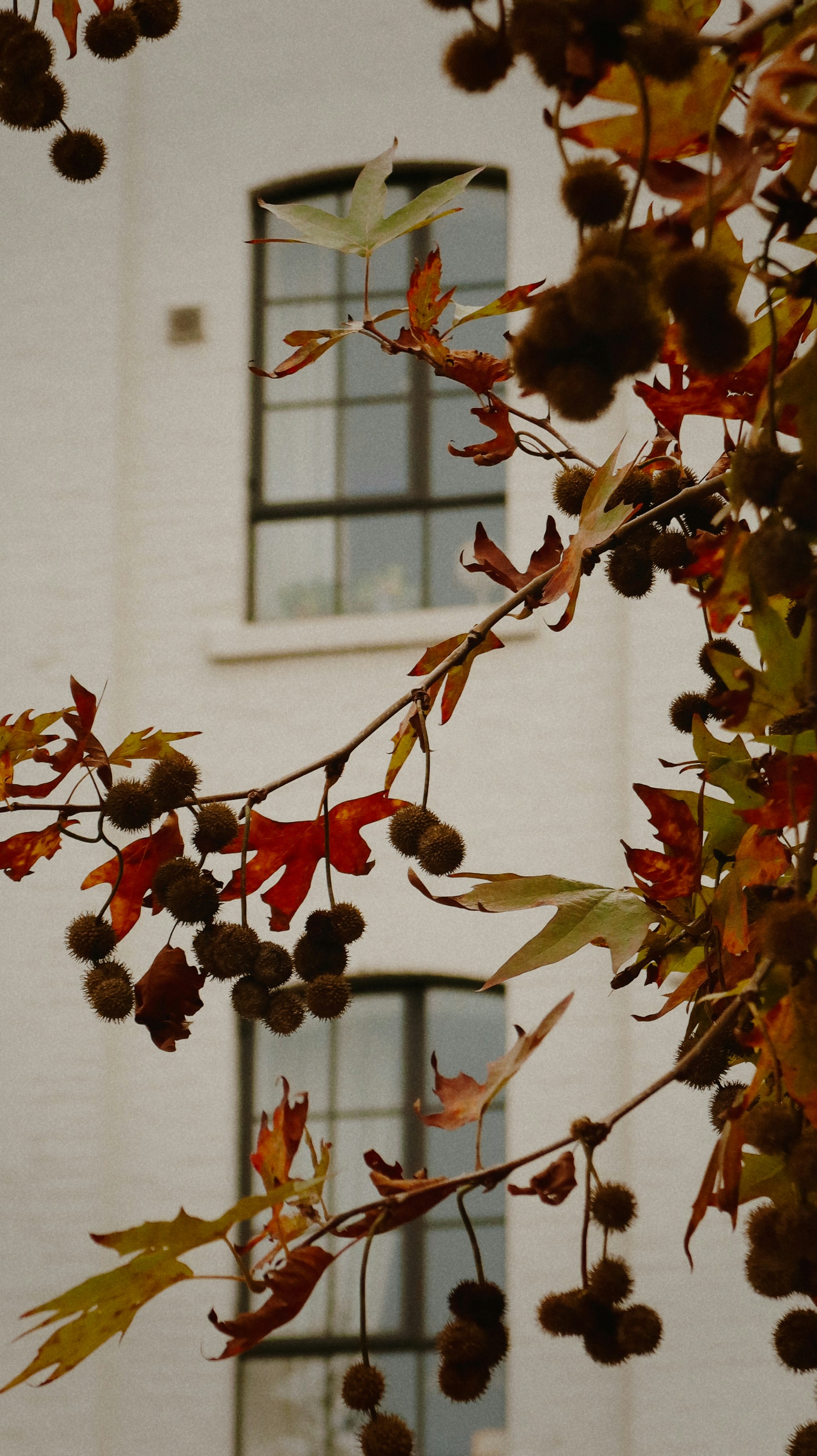 Photo by createdbydaniii