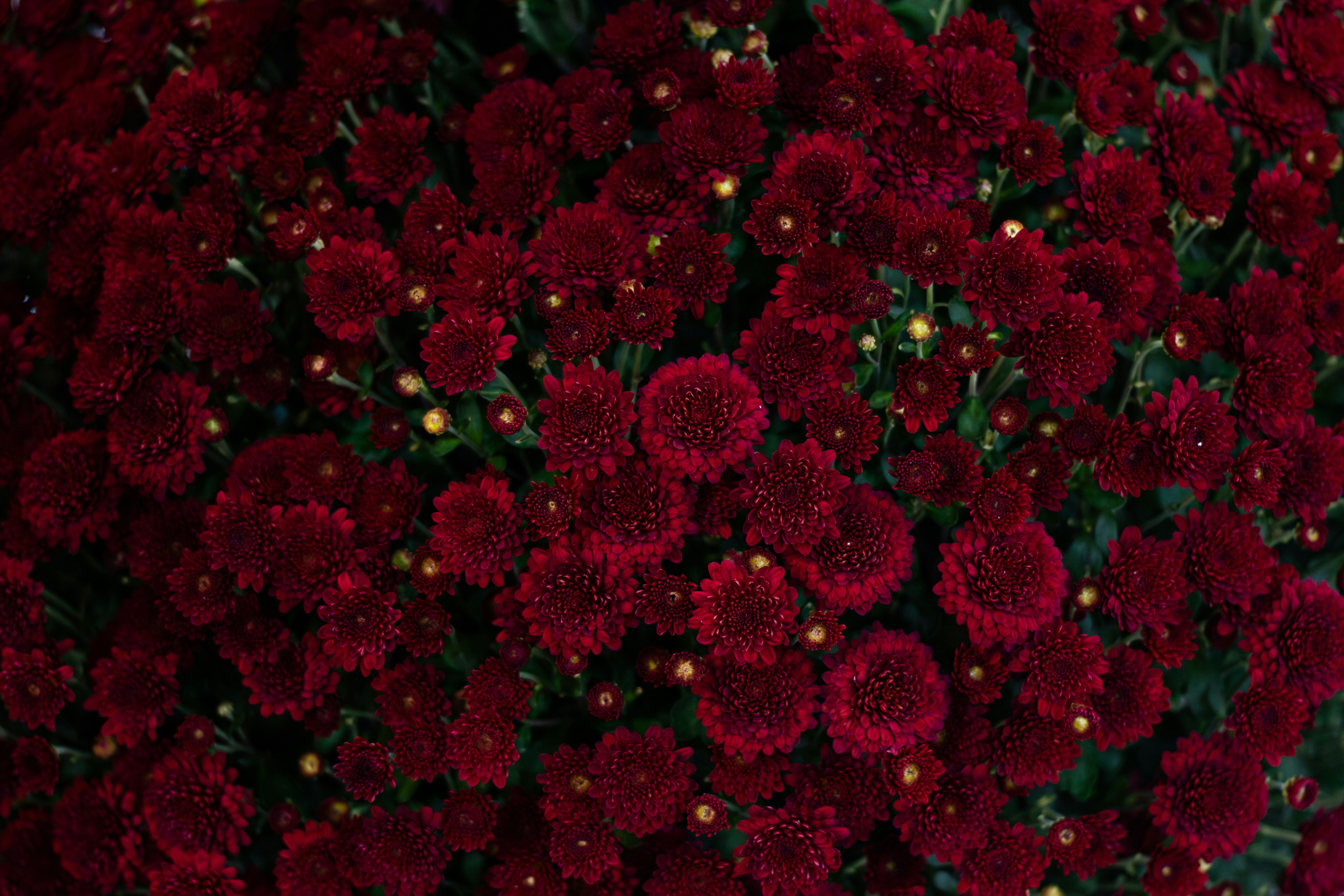 Photo by familylifecs