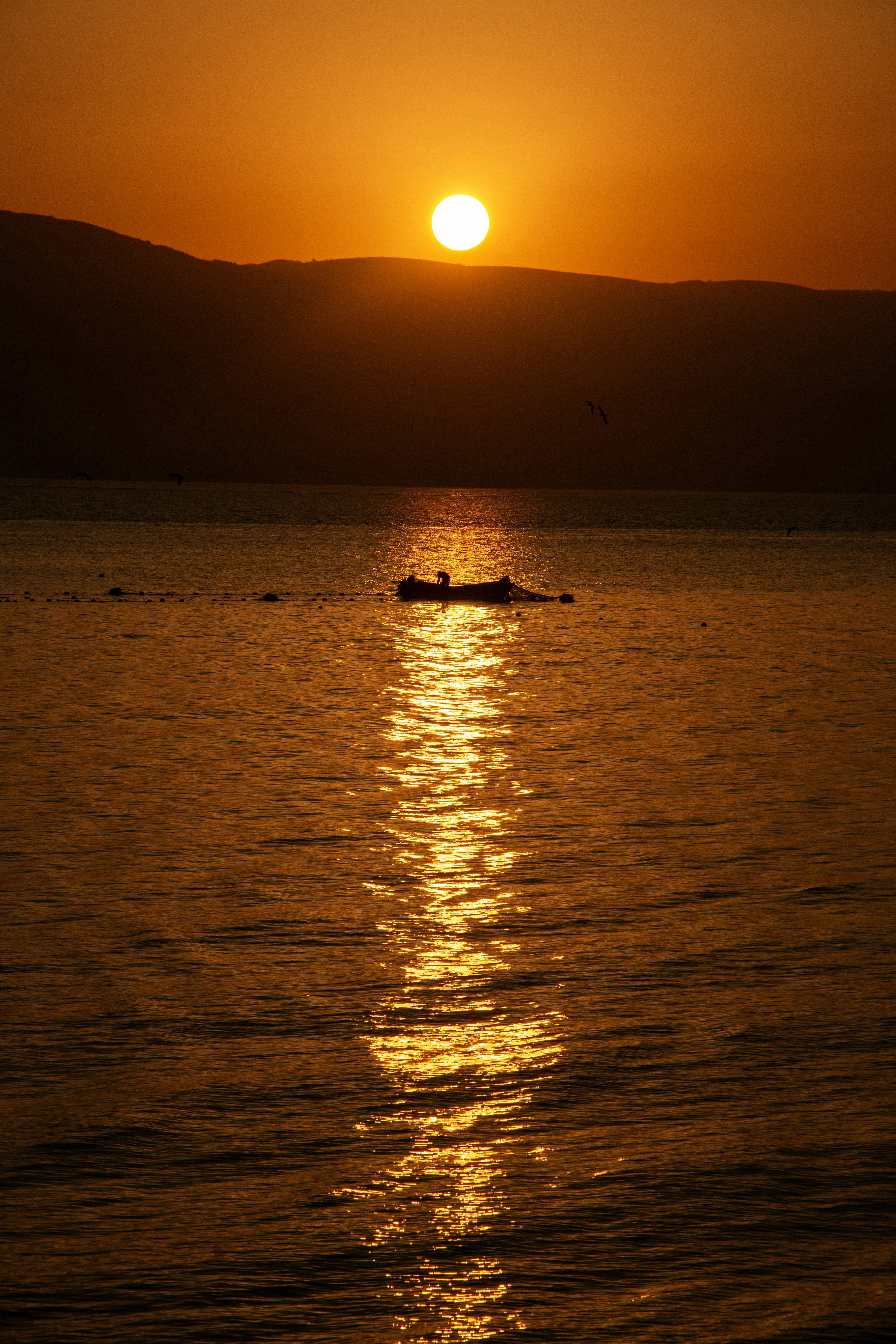 Photo by stepan_konev