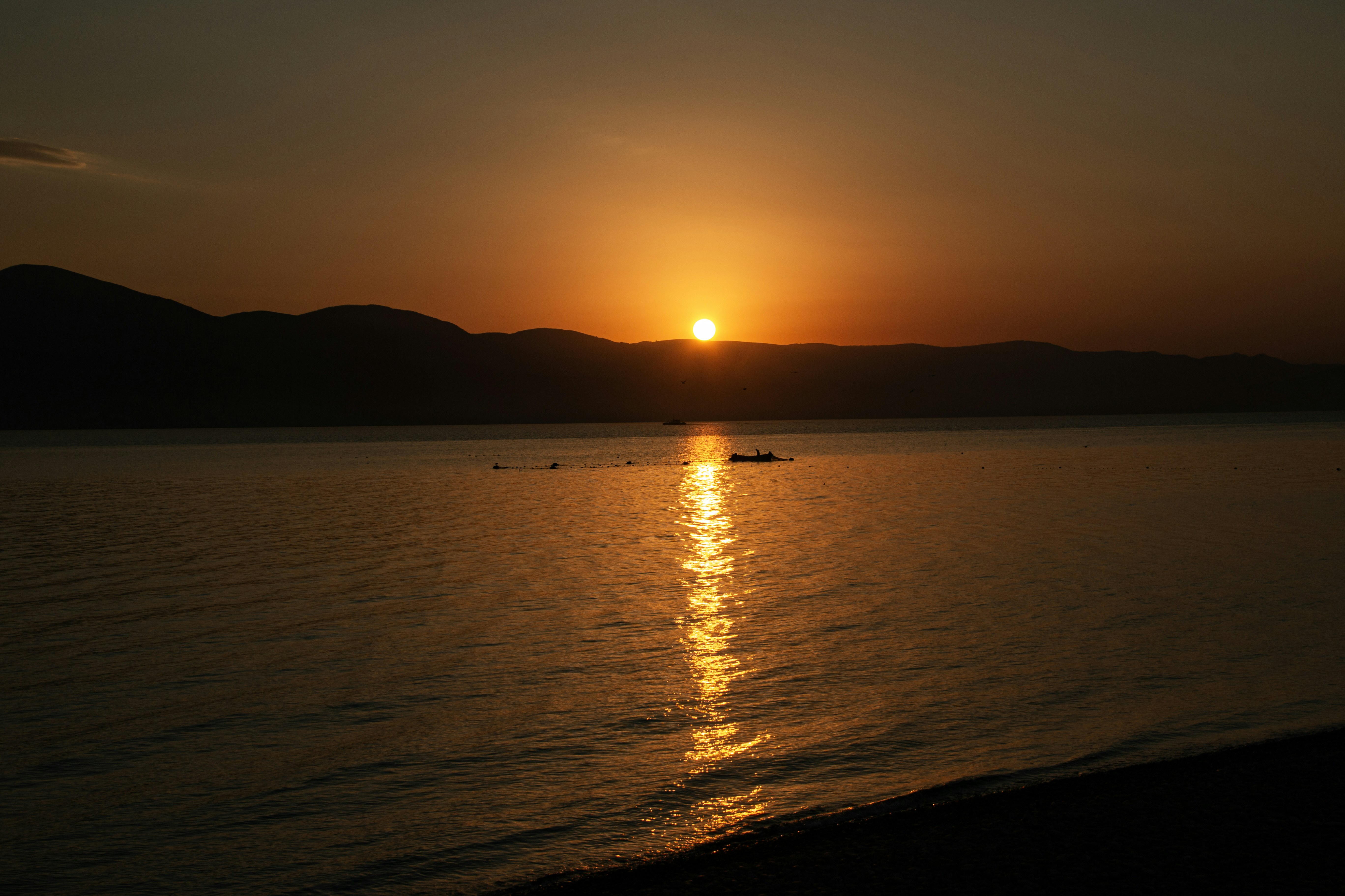 Photo by stepan_konev