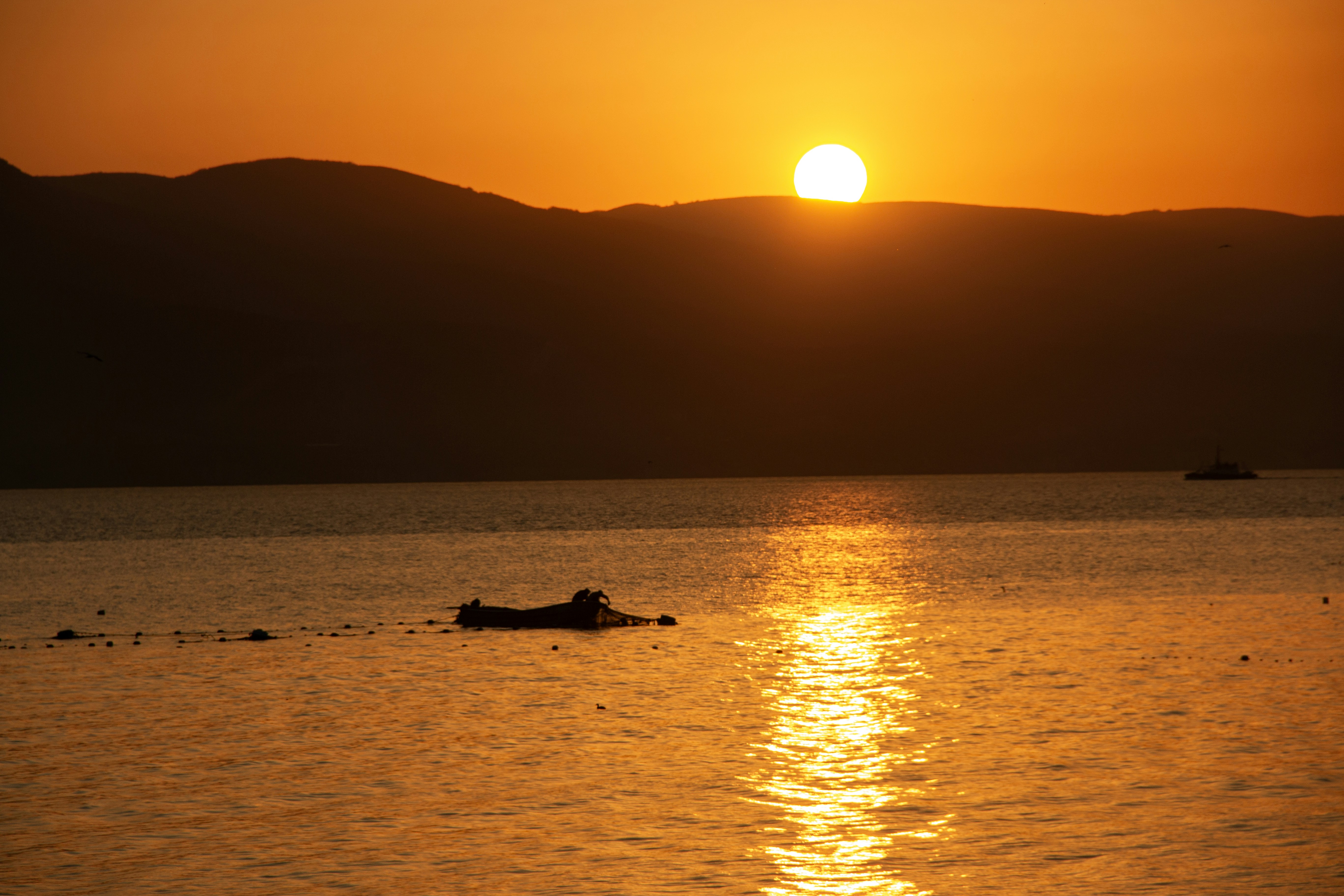 Photo by stepan_konev