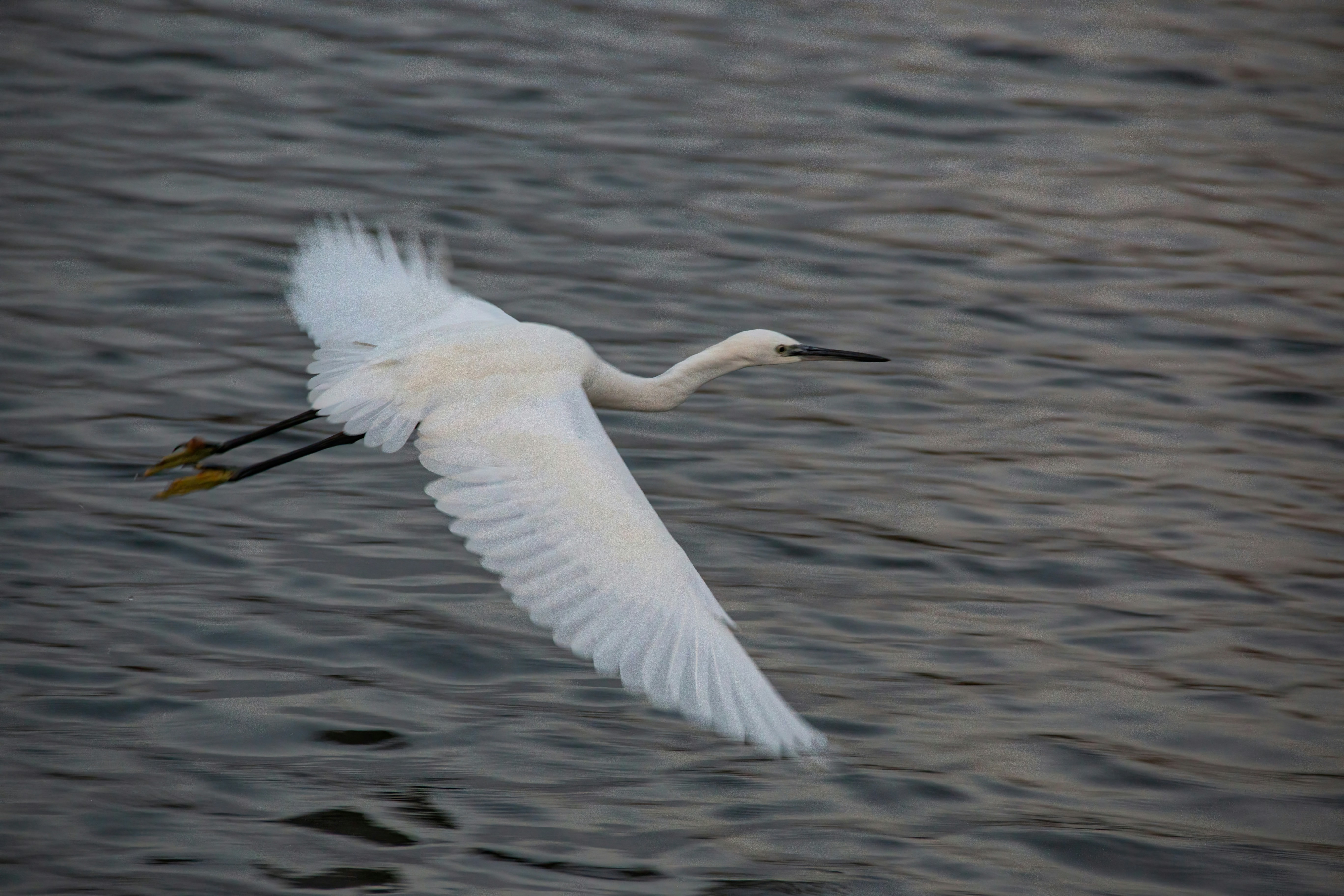 Photo by stepan_konev