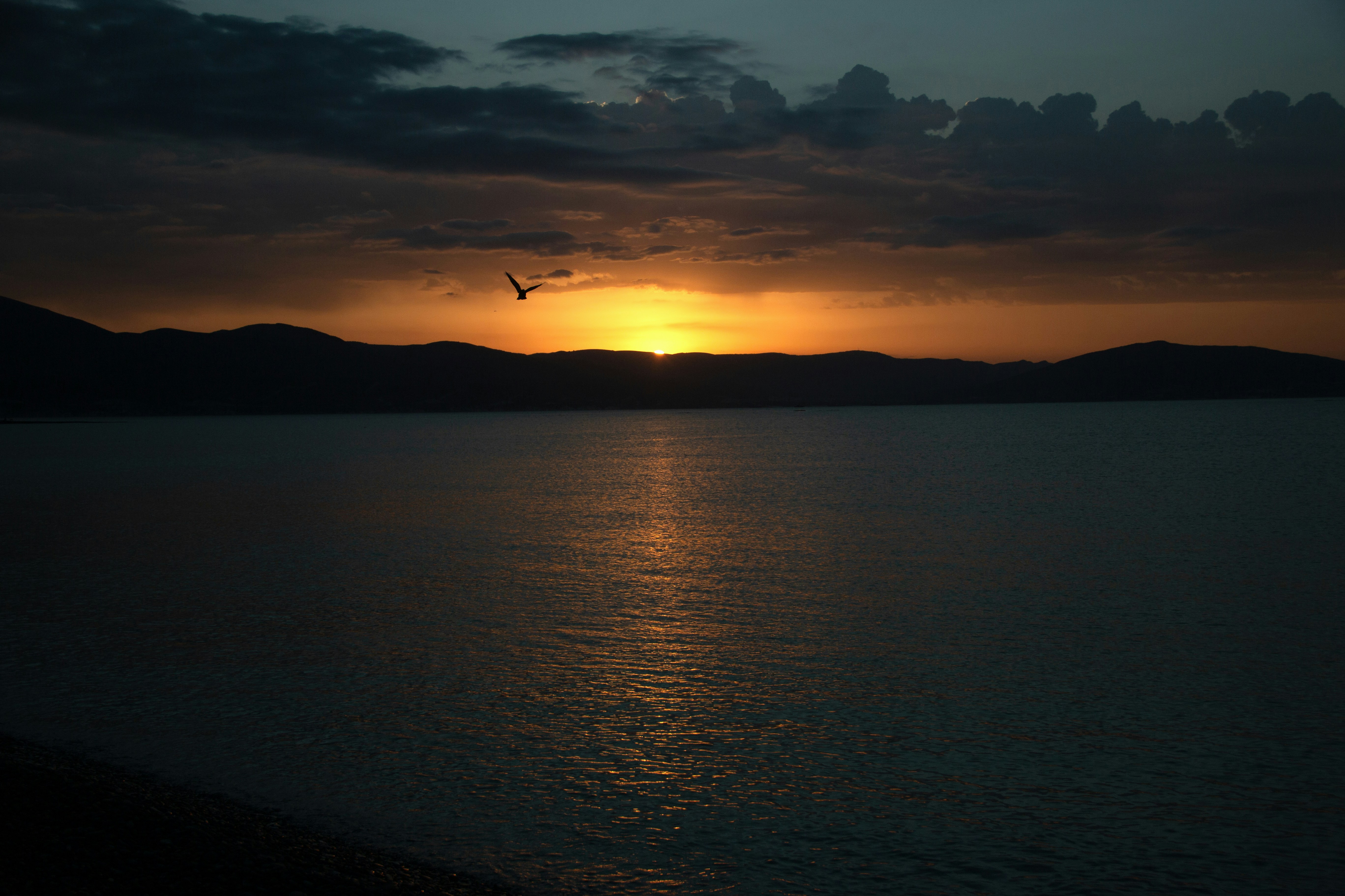 Photo by stepan_konev