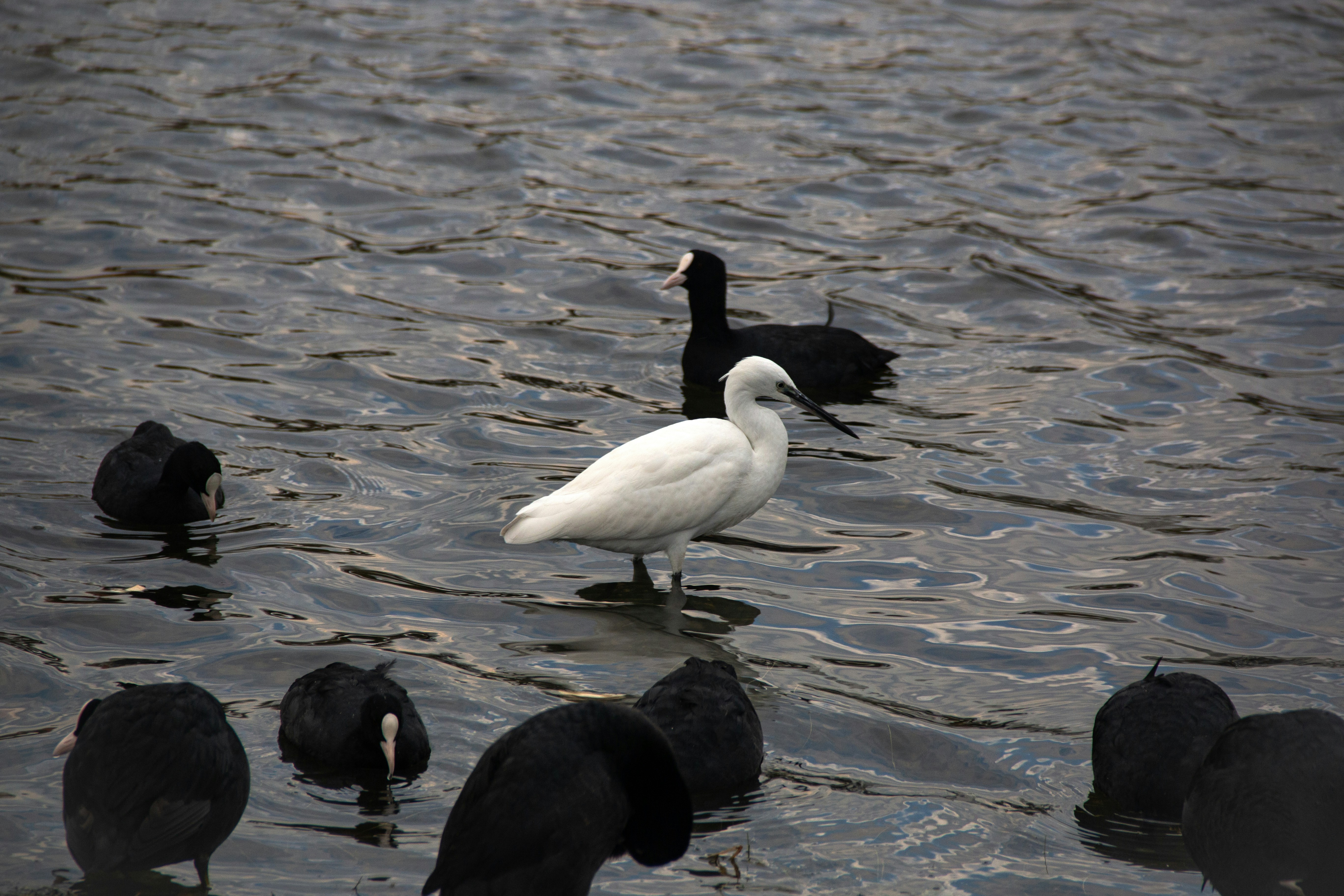 Photo by stepan_konev