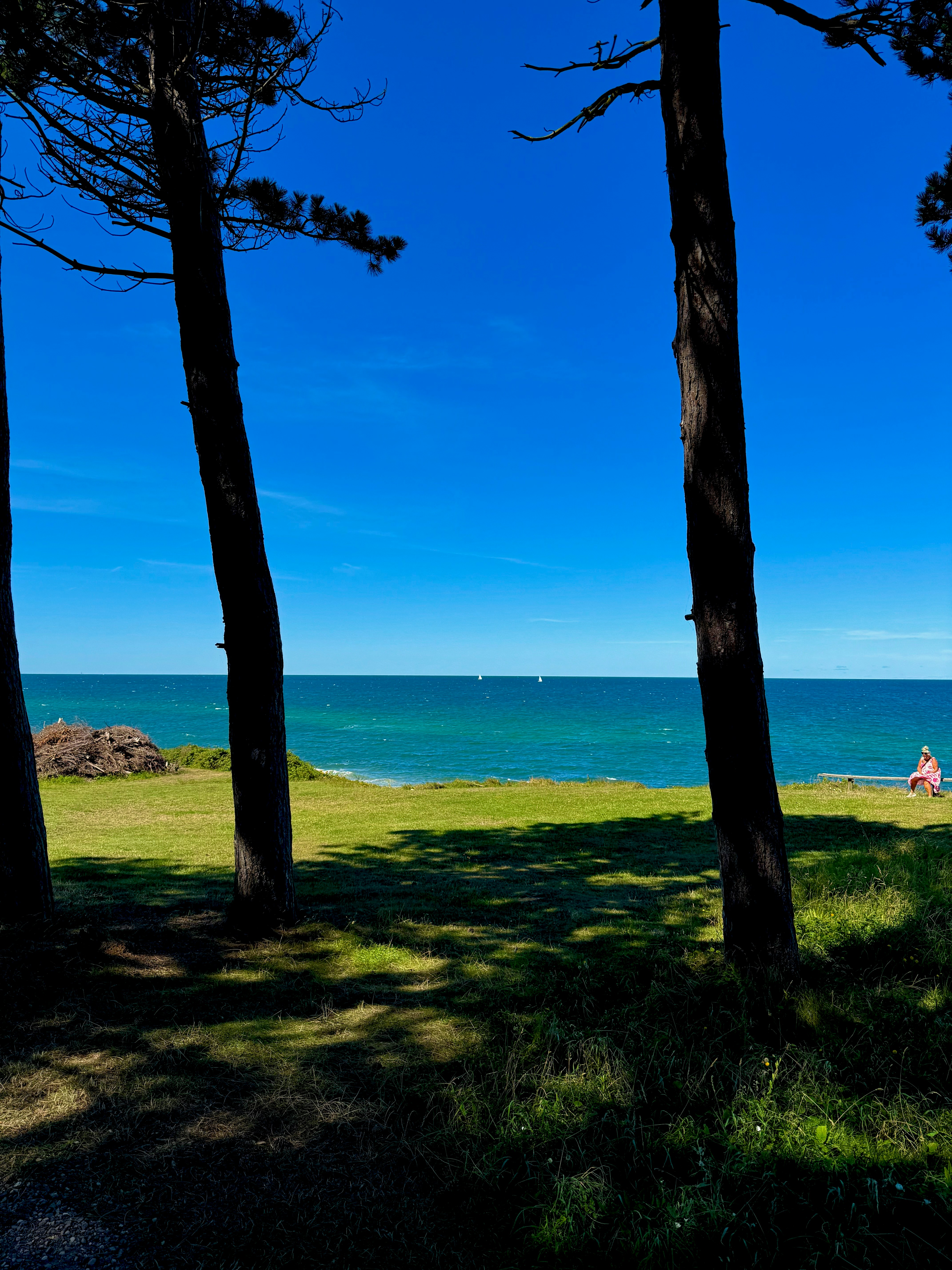 Photo by michuaintreal