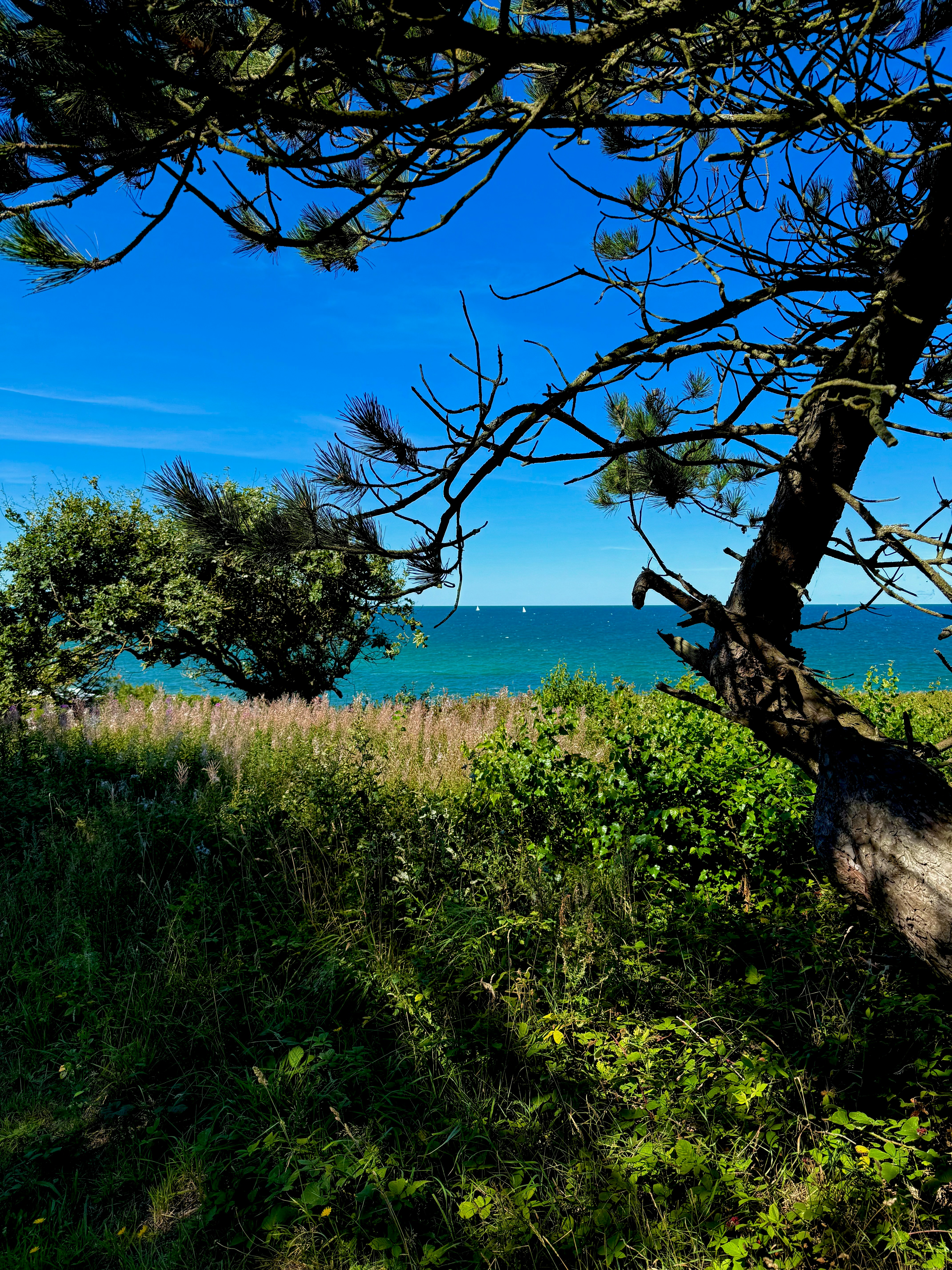 Photo by michuaintreal