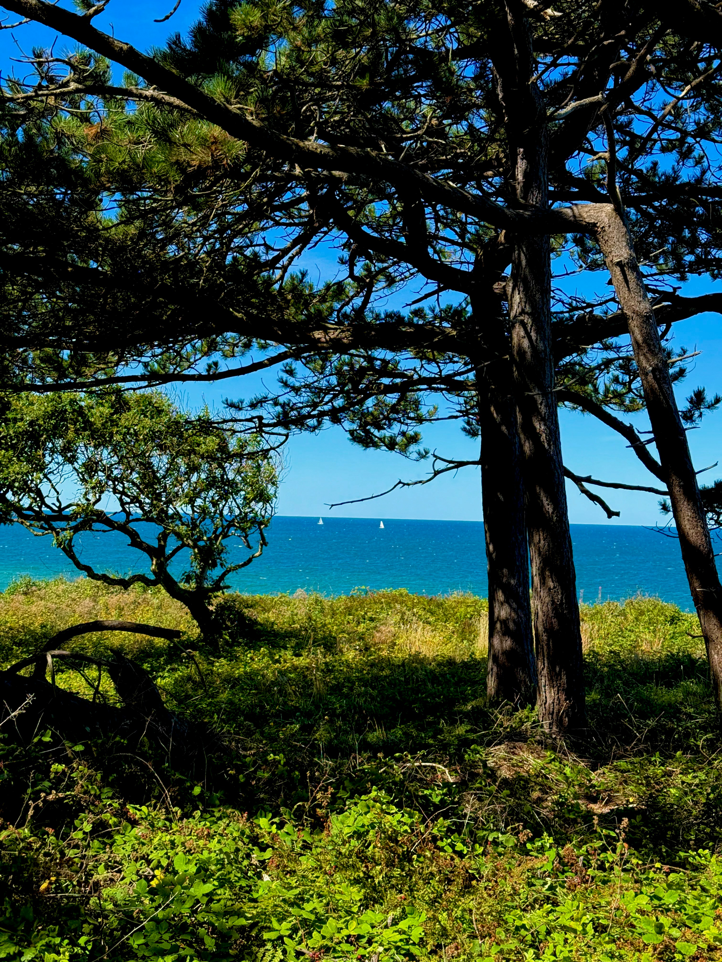 Photo by michuaintreal