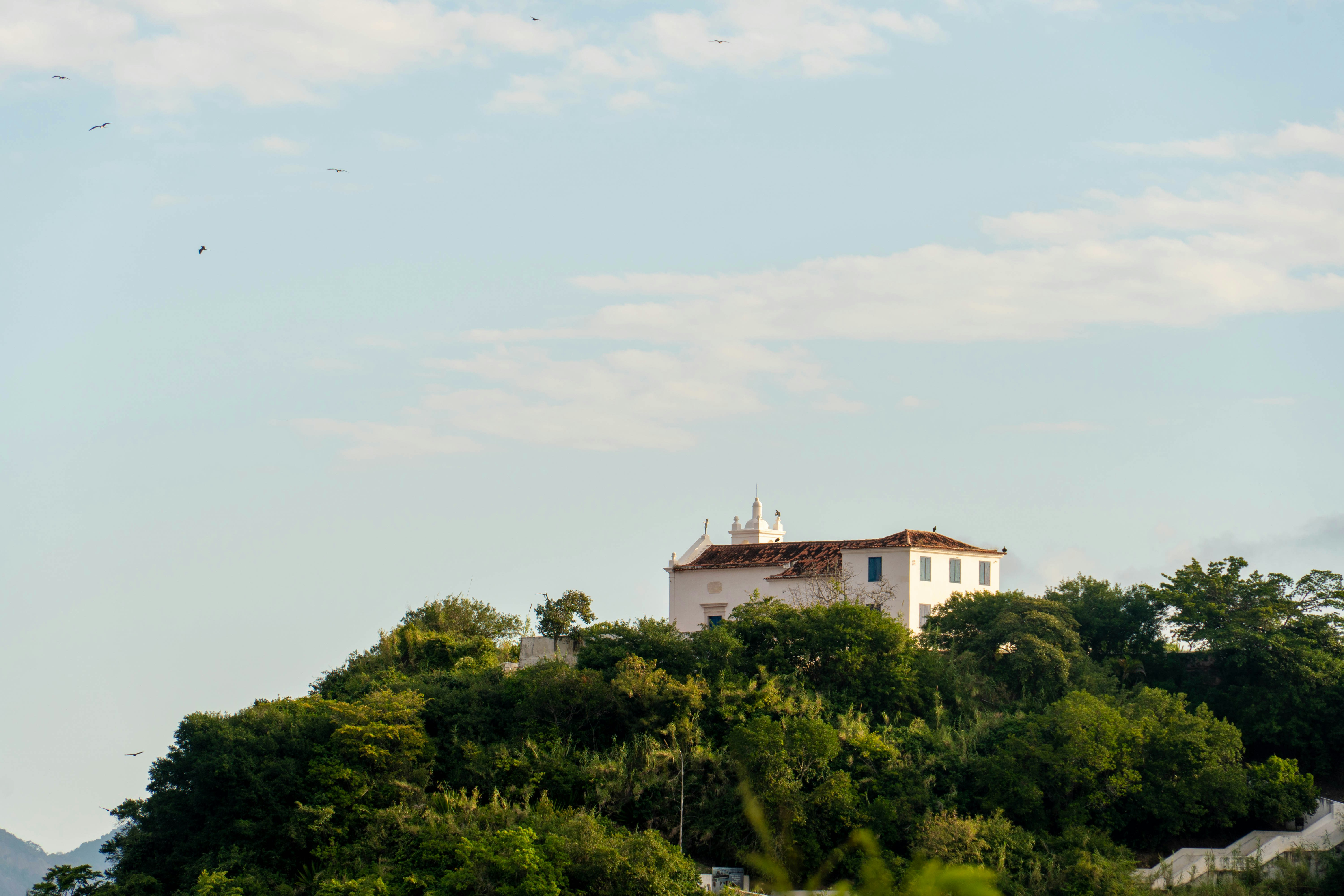 Photo by gustavo0351