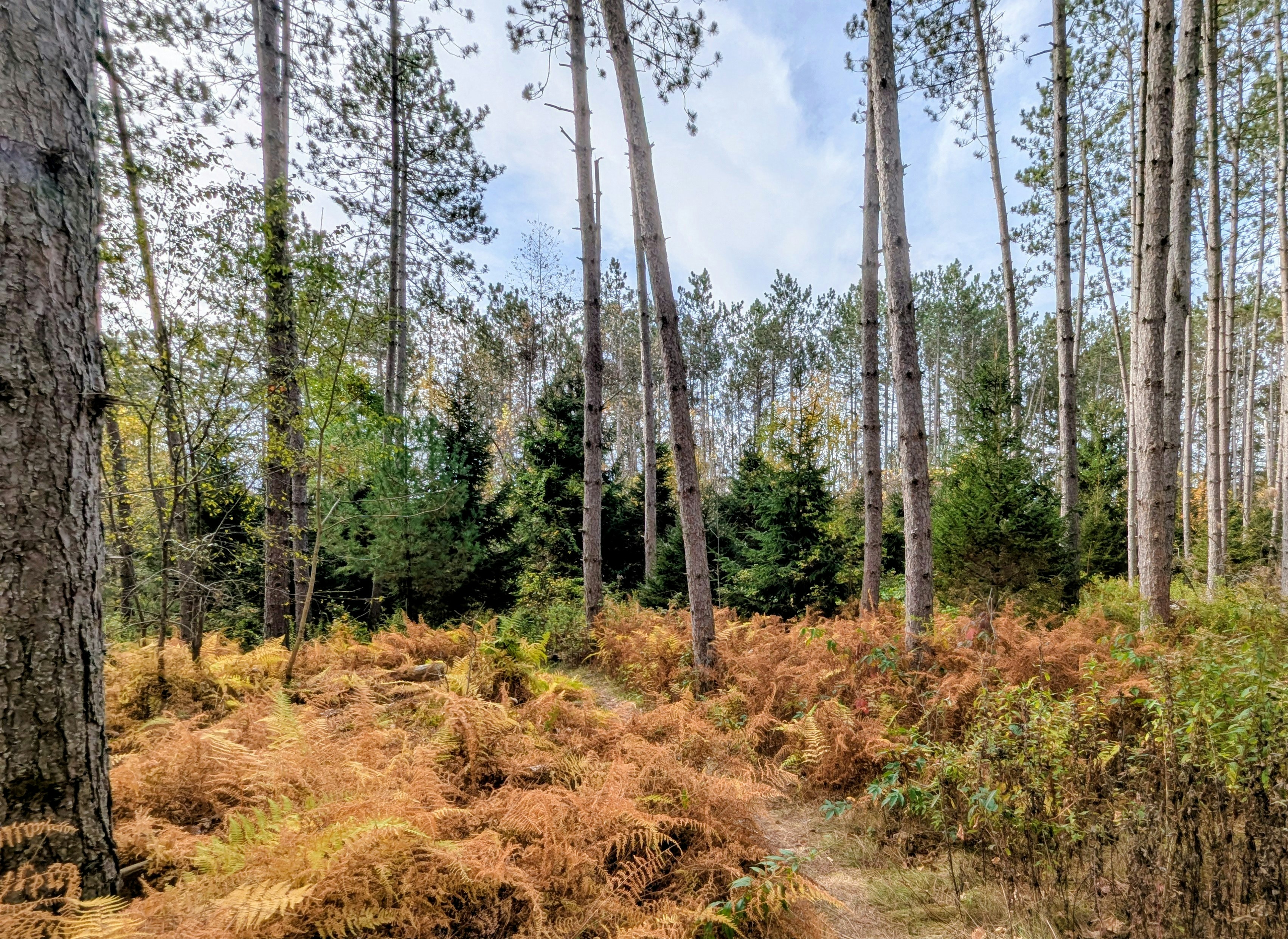 Photo by tamrootbeer