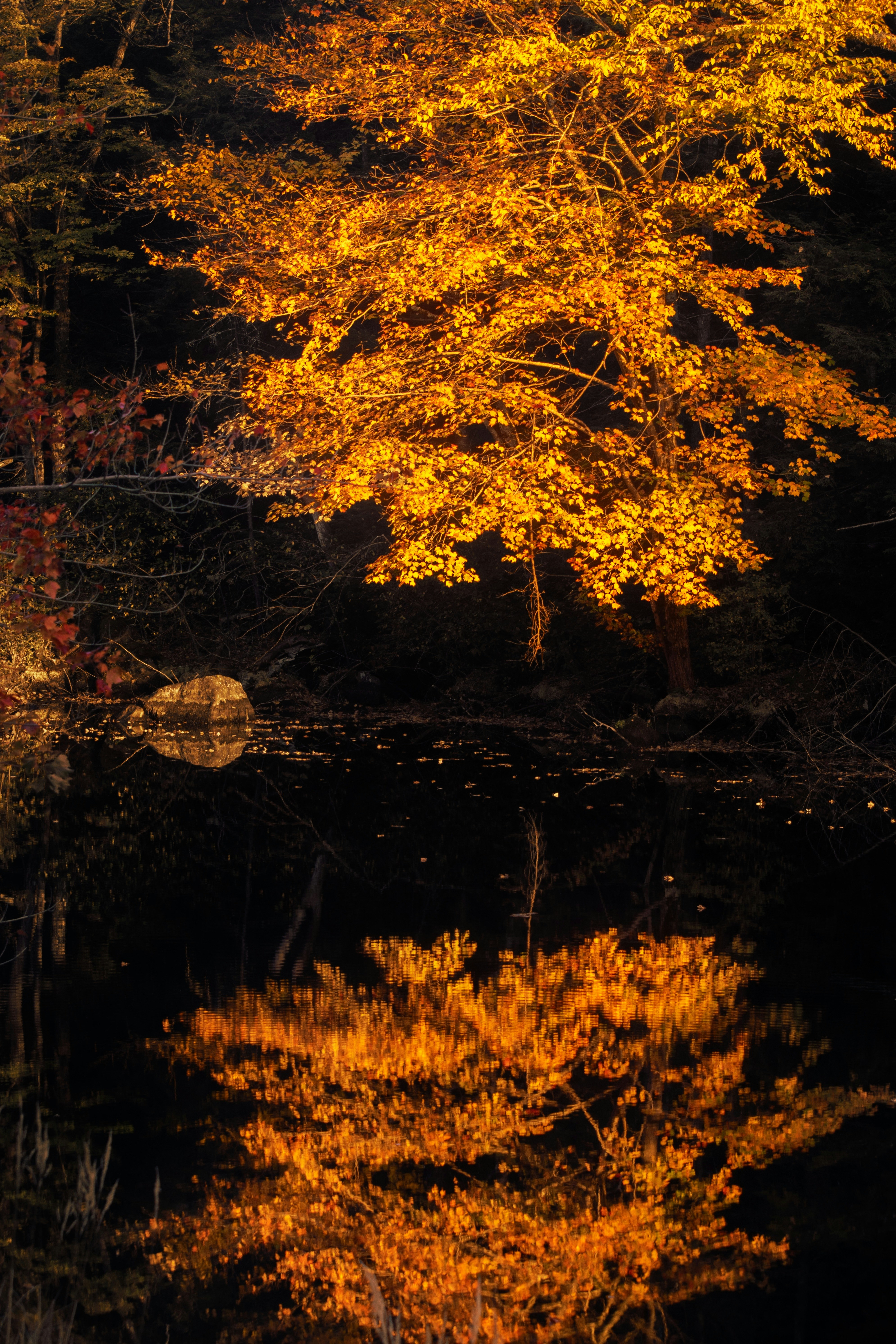 Photo by nh_landscapes