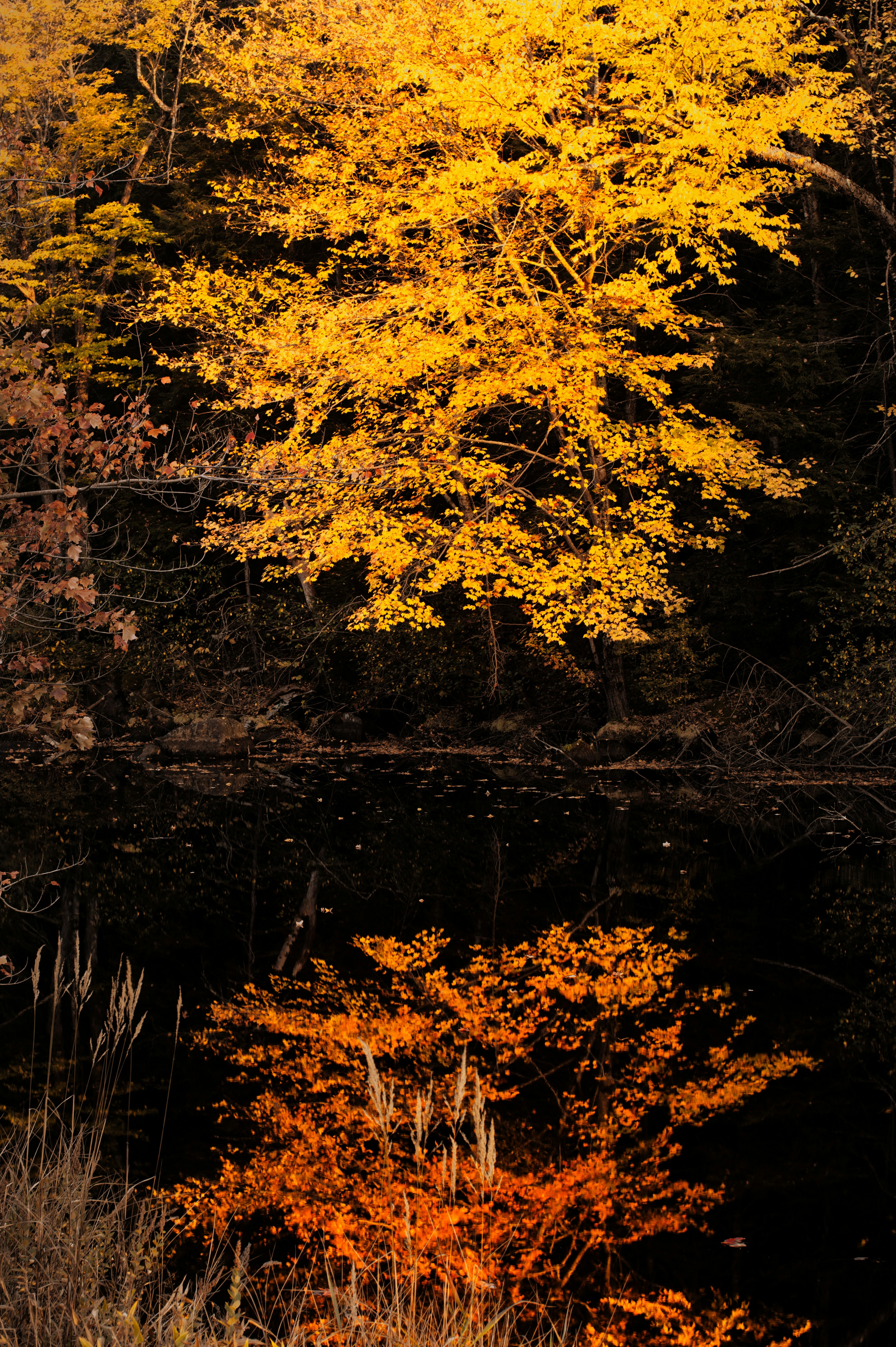 Photo by nh_landscapes