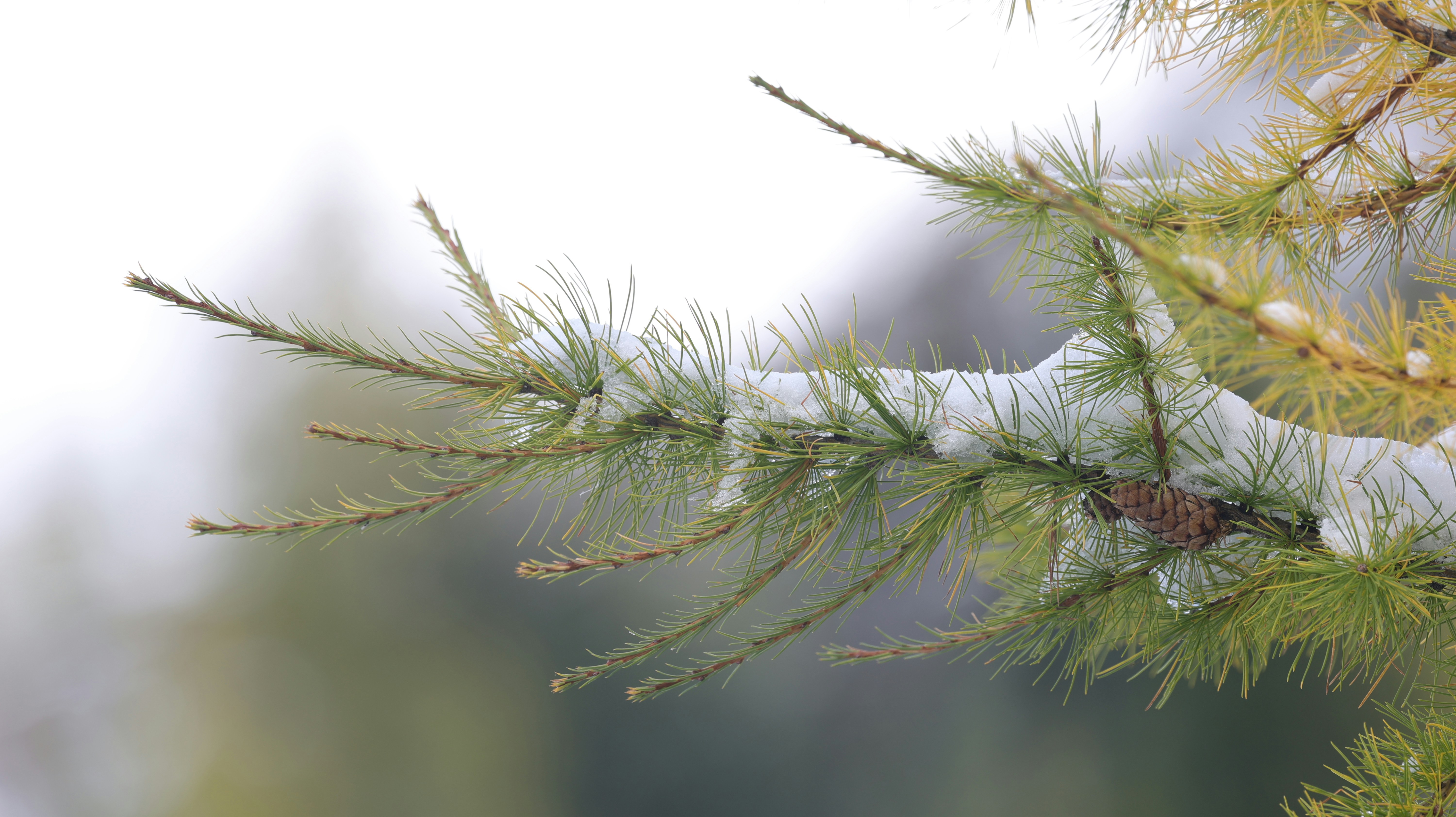 Photo by valomukitse