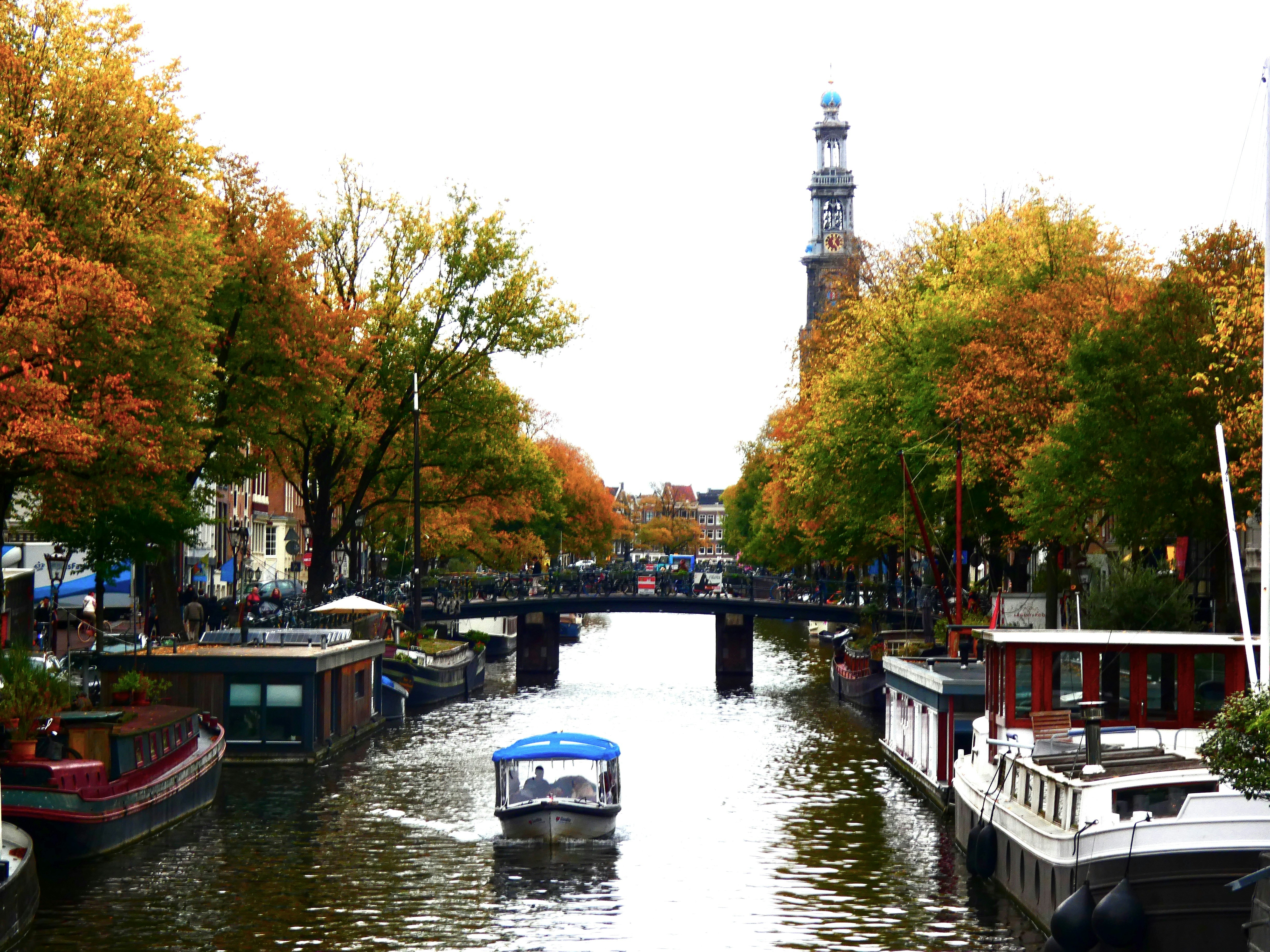 A canal in Europe in the Autumn, lined with trees whose leaves have changed to autumn colours.