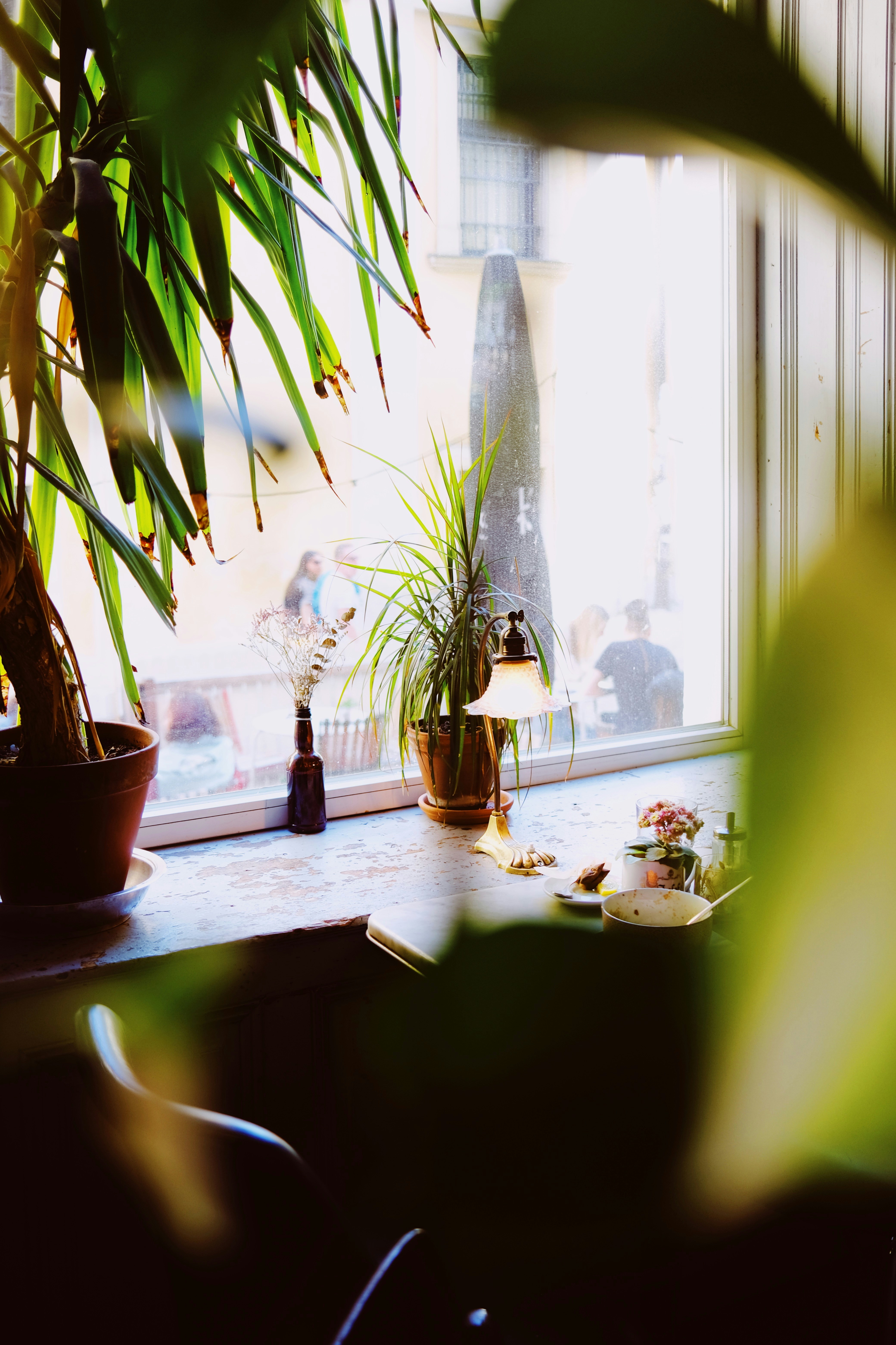 Photo by cherenkevich